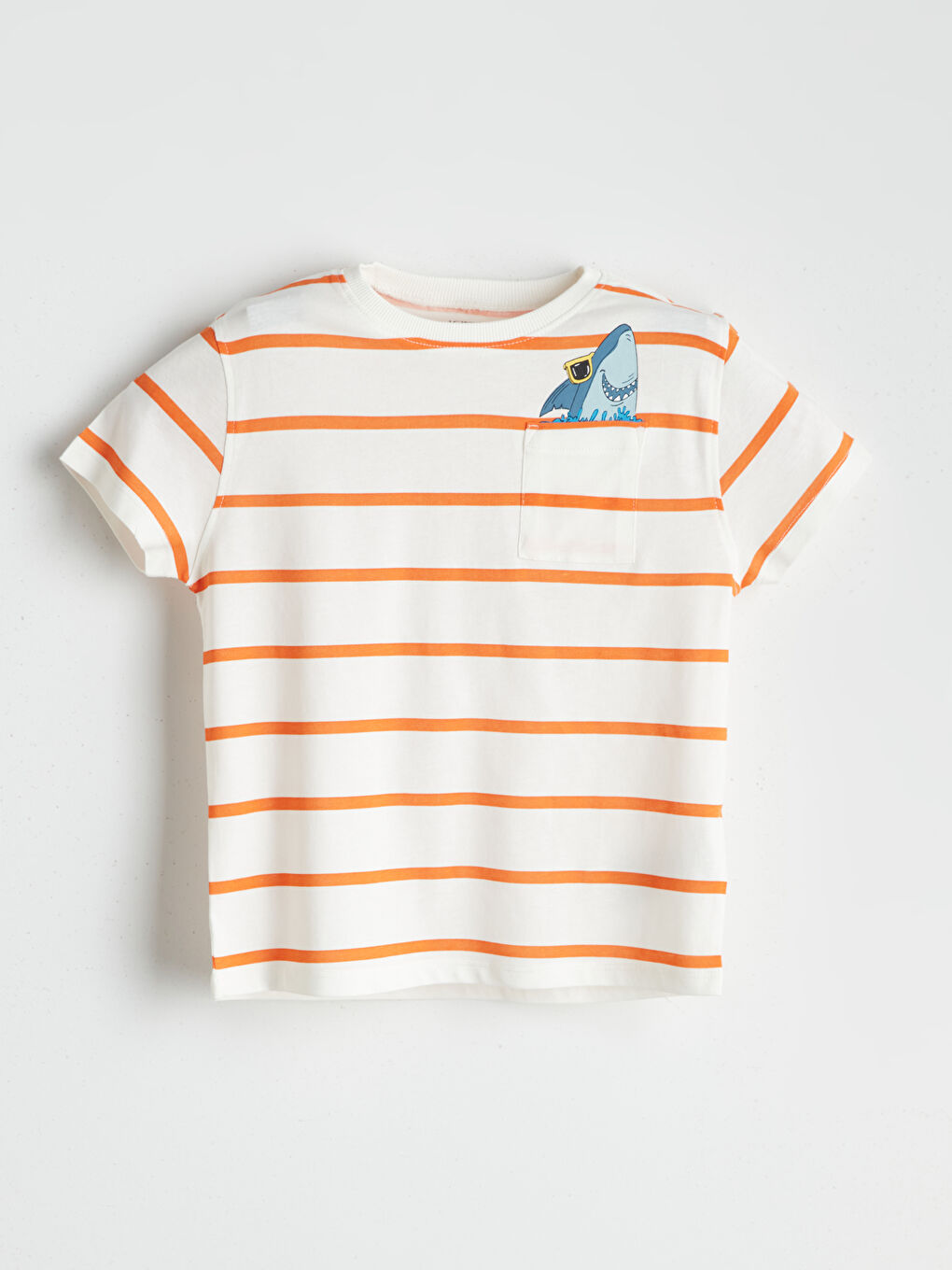 Crew Neck Striped Boys' T-Shirt