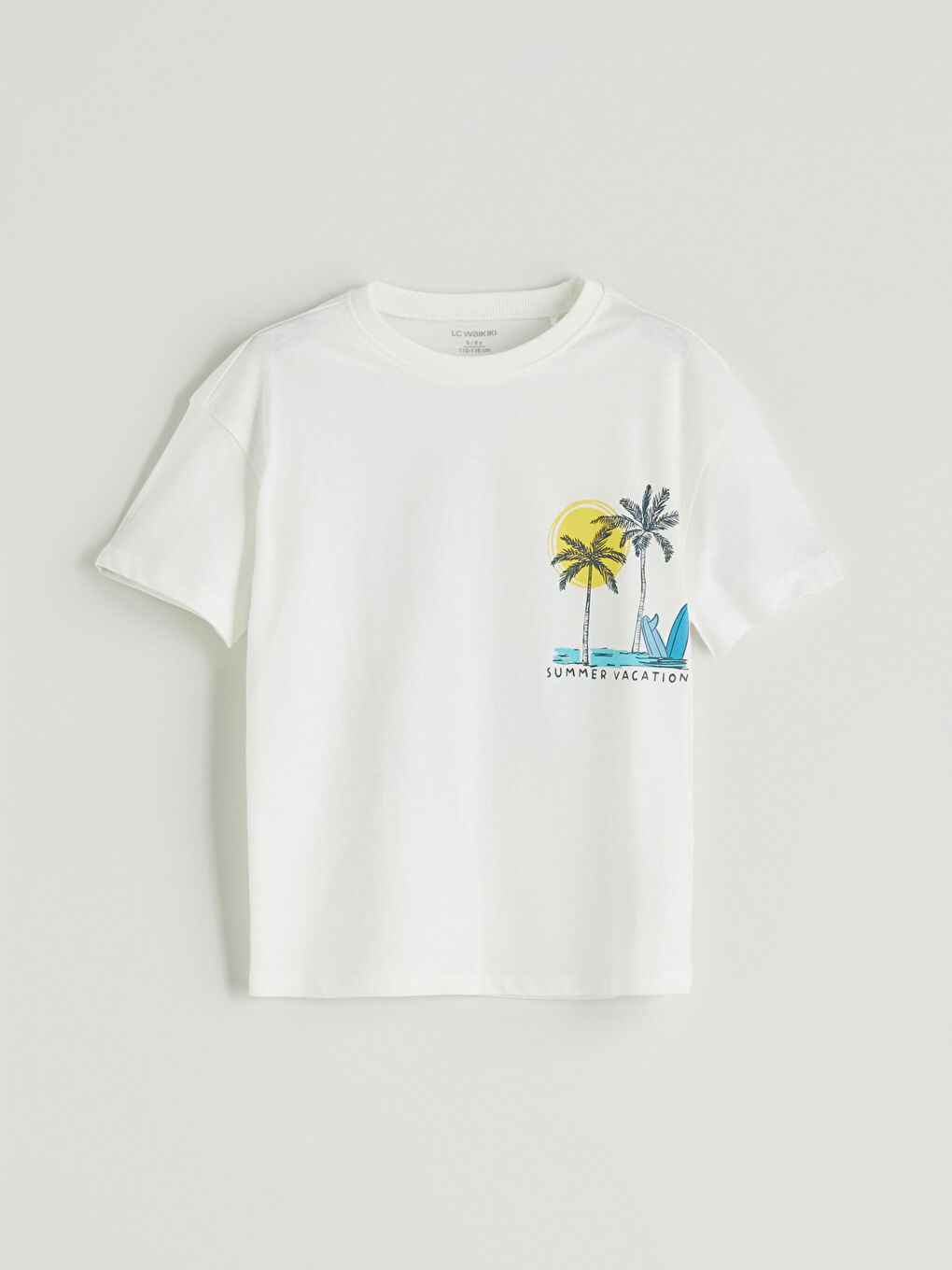 LCW Kids Printed Boys' T-Shirt and Shorts 2 Pack -S5I712Z1-R9J