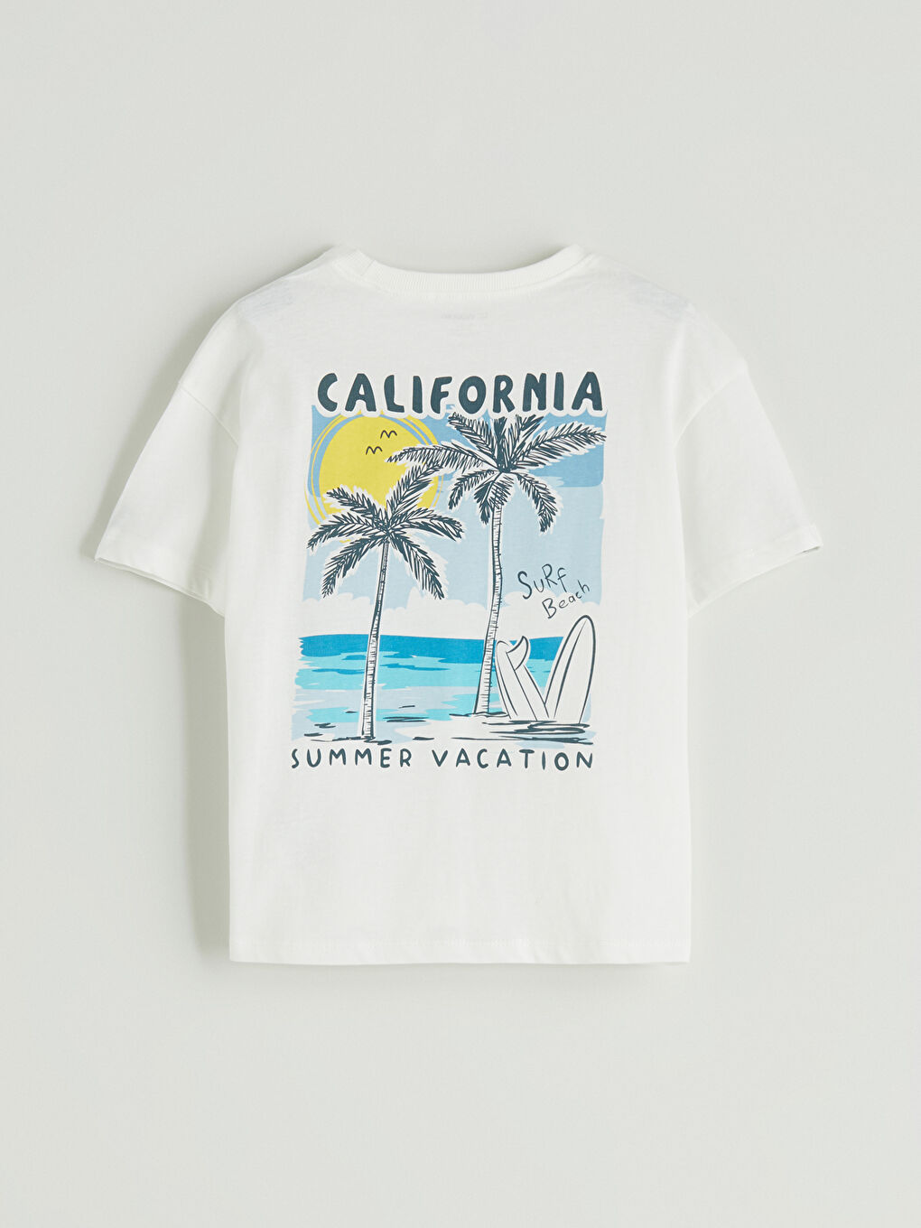 LCW Kids Printed Boys' T-Shirt and Shorts 2 Pack -S5I712Z1-R9J