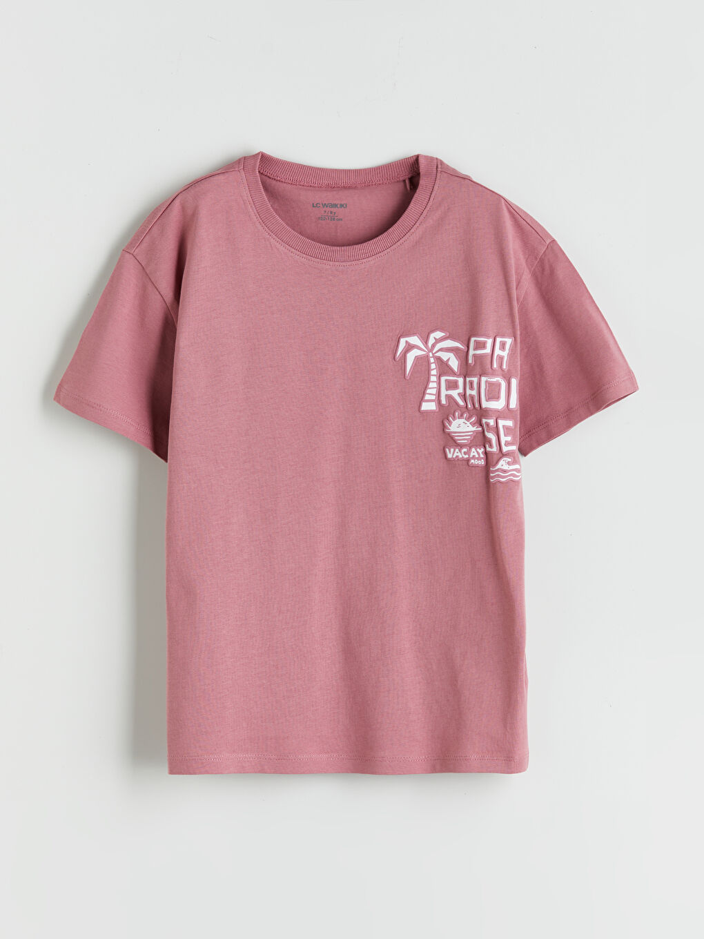 Футболка с круглым вырезом и принтом для мальчиков и шорты, комплект из 2 штук-1