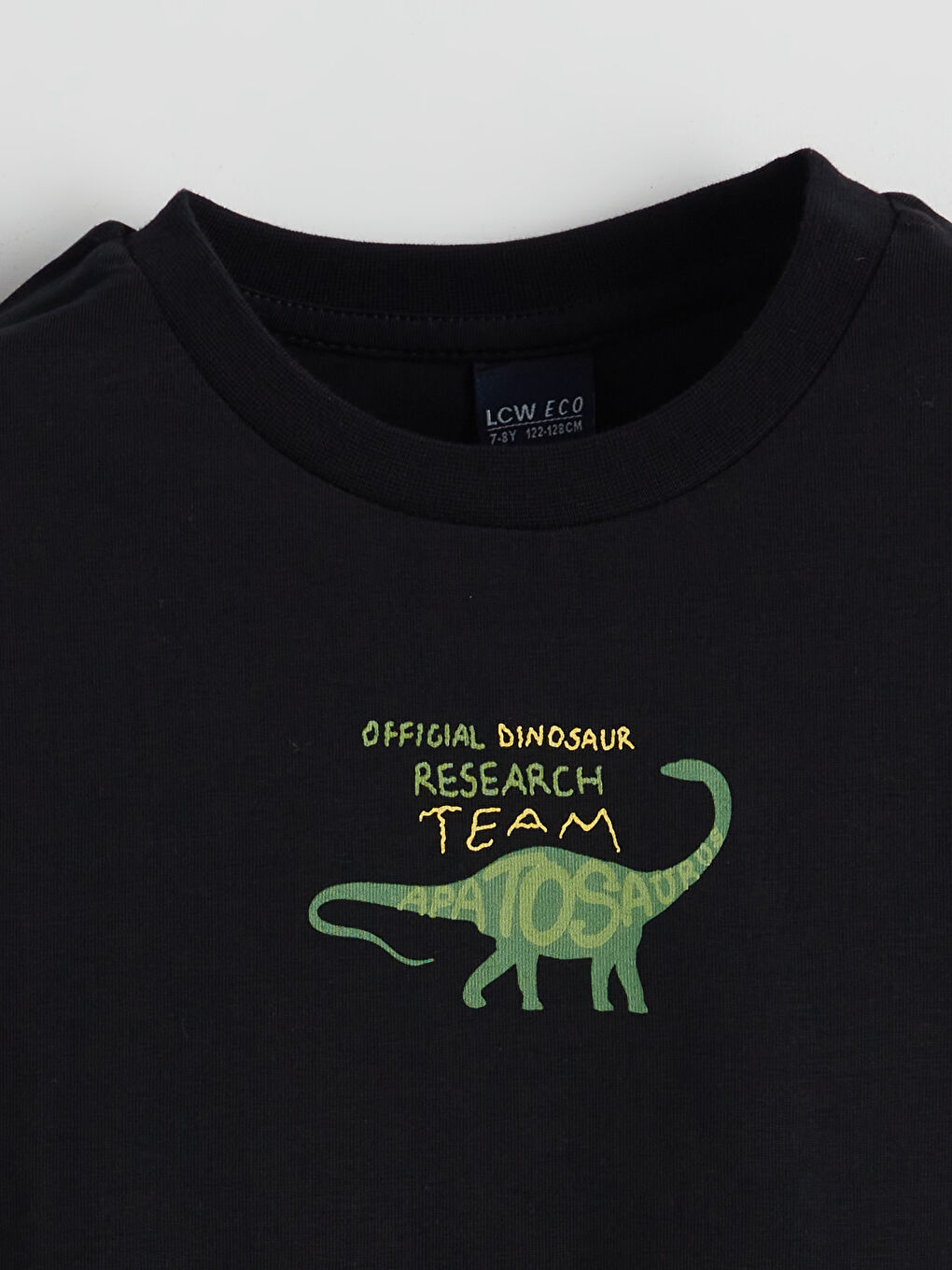 Siyah Bisiklet Yaka Dinozor Baskılı Erkek Çocuk Tişört-2