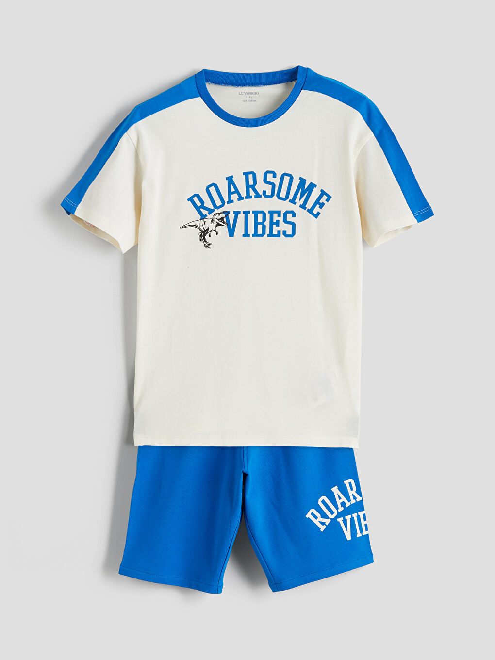LCW Kids Bedrucktes T-Shirt und Shorts für Jungen, 2er-Pack -S5IA27Z1-QVK