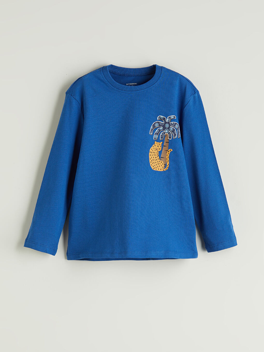 LCW baby Crew Neck Printed Boys' T-Shirt 2 Pack -S5ID16Z1-QVK