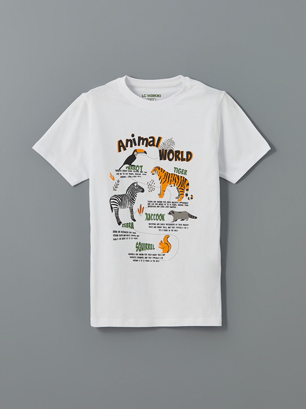 Beyaz Bisiklet Yaka Erkek Çocuk Pijama Üst