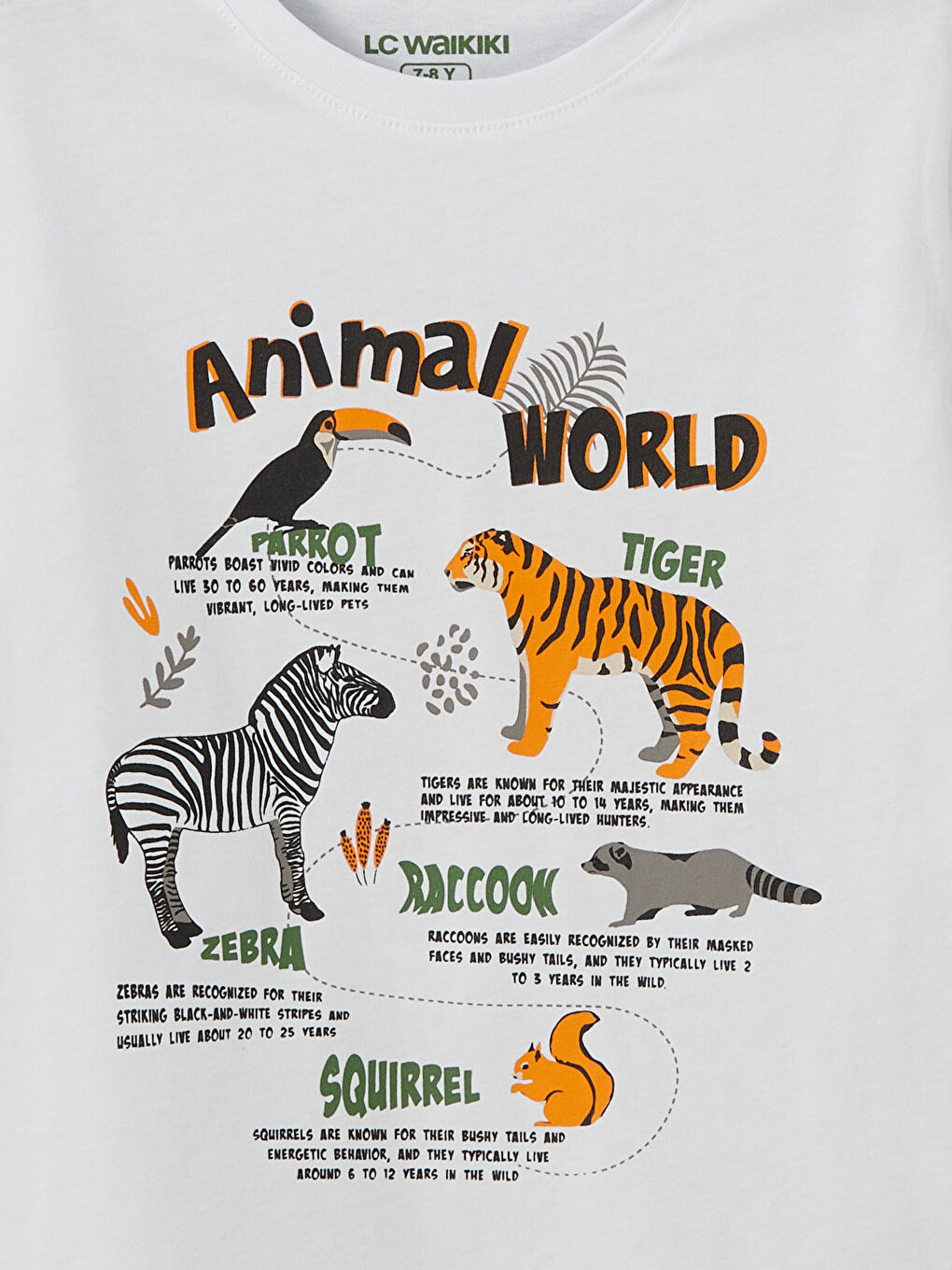 Beyaz Bisiklet Yaka Erkek Çocuk Pijama Üst-2