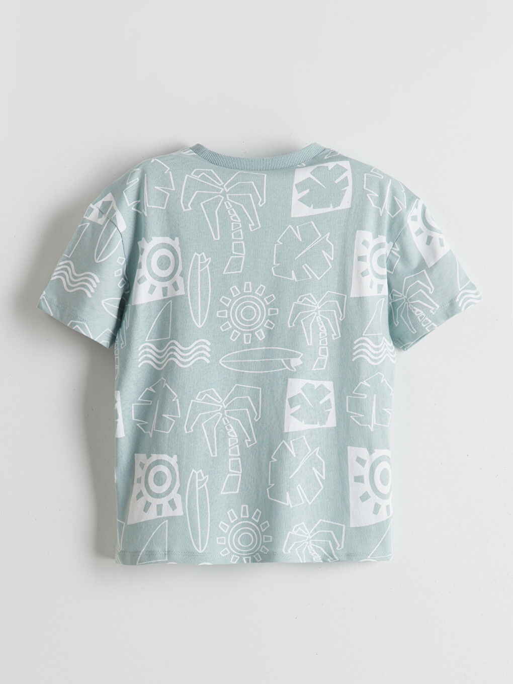 Crew Neck Printed Jersey Boys' T-shirt-1