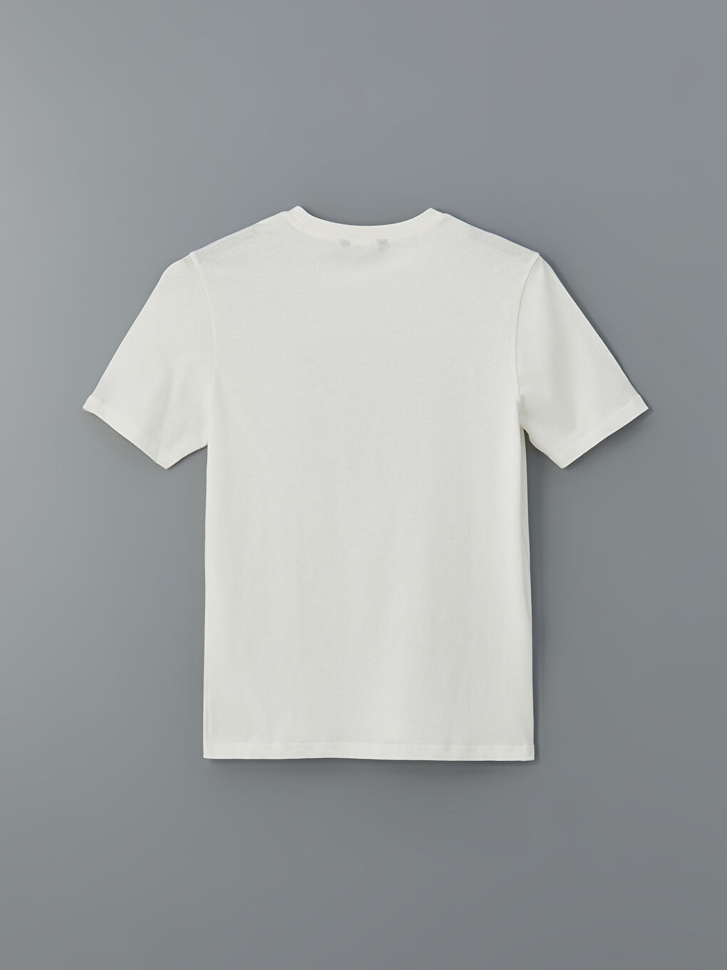 Crew Neck Printed Men's T-Shirt -S5IL30Z8-EEW