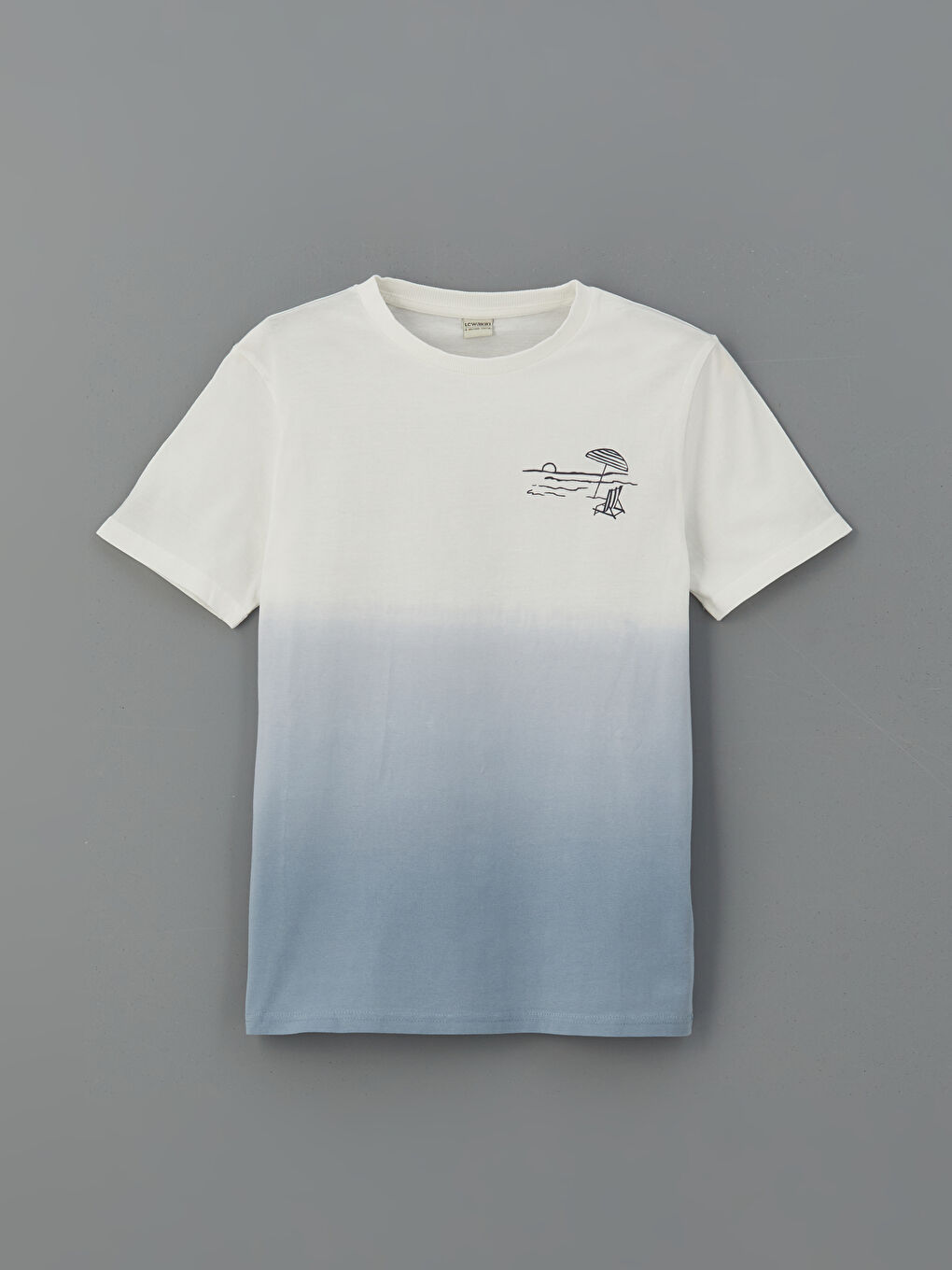 Crew Neck Boys' T-Shirt and Shorts -S5J018Z4-Y9B
