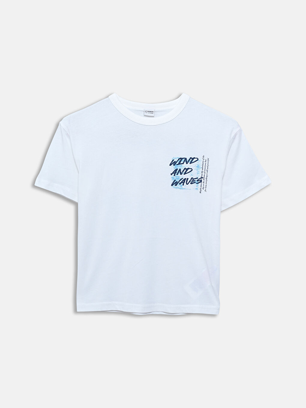 LCW Kids Crew Neck Printed Boys' T-Shirt -S5J036Z4-R9J