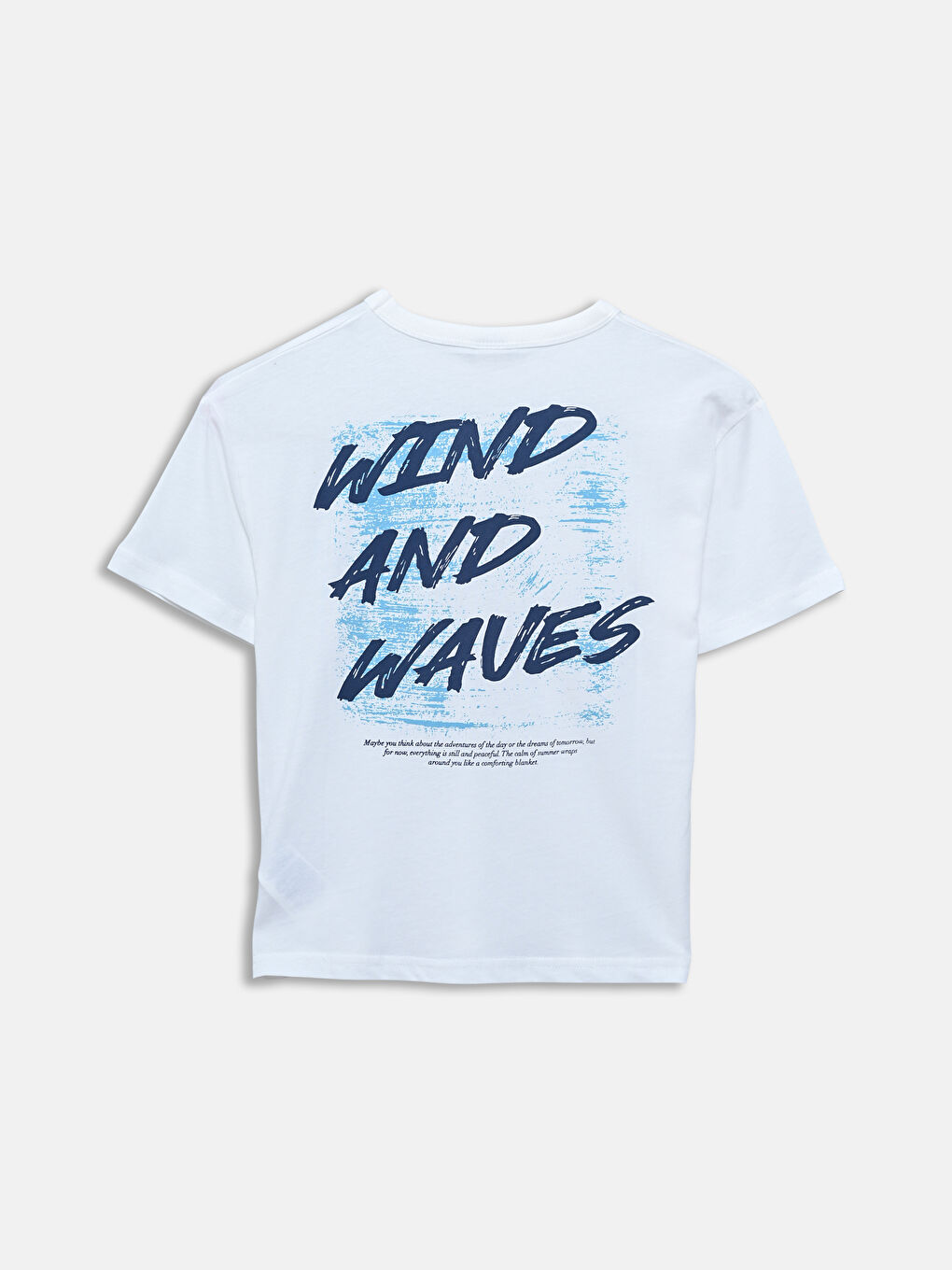 LCW Kids Crew Neck Printed Boys' T-Shirt -S5J036Z4-R9J