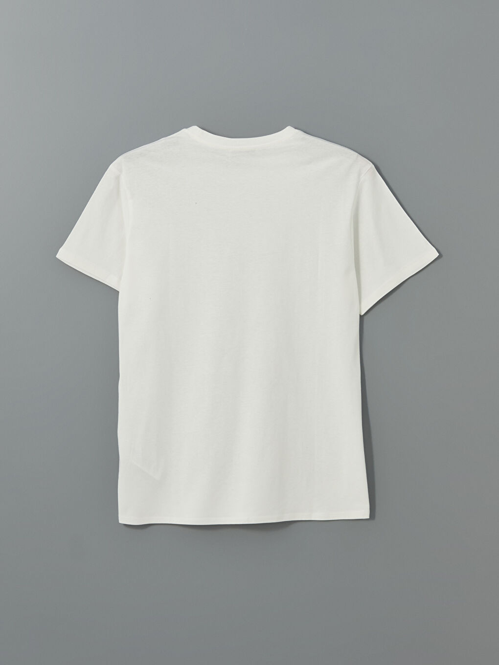 LCW Vision Crew Neck Printed Women's T-Shirt -S5J492Z8-R9J