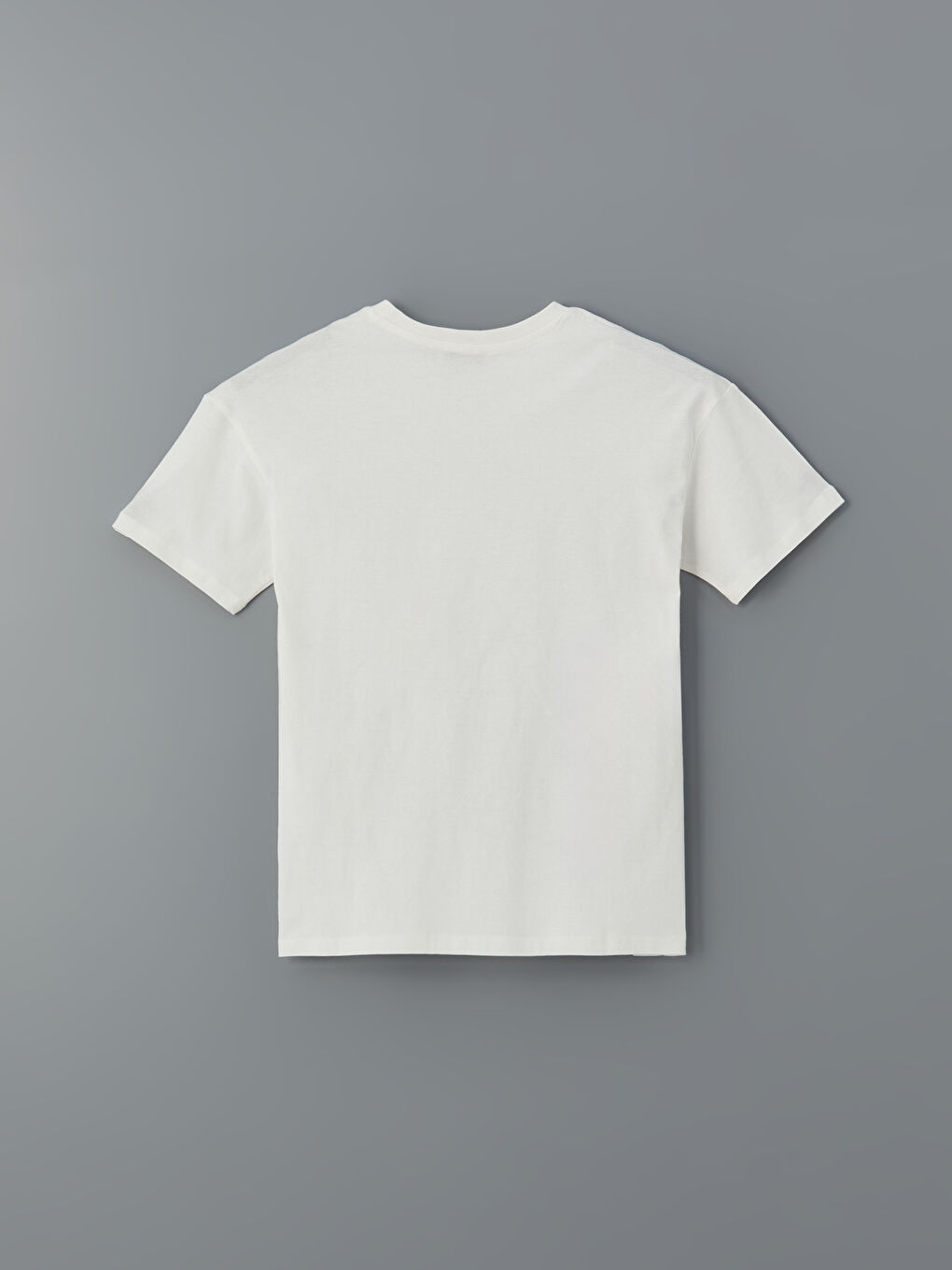 LCW Vision Crew Neck Printed Women's T-Shirt -S5J521Z8-R9J