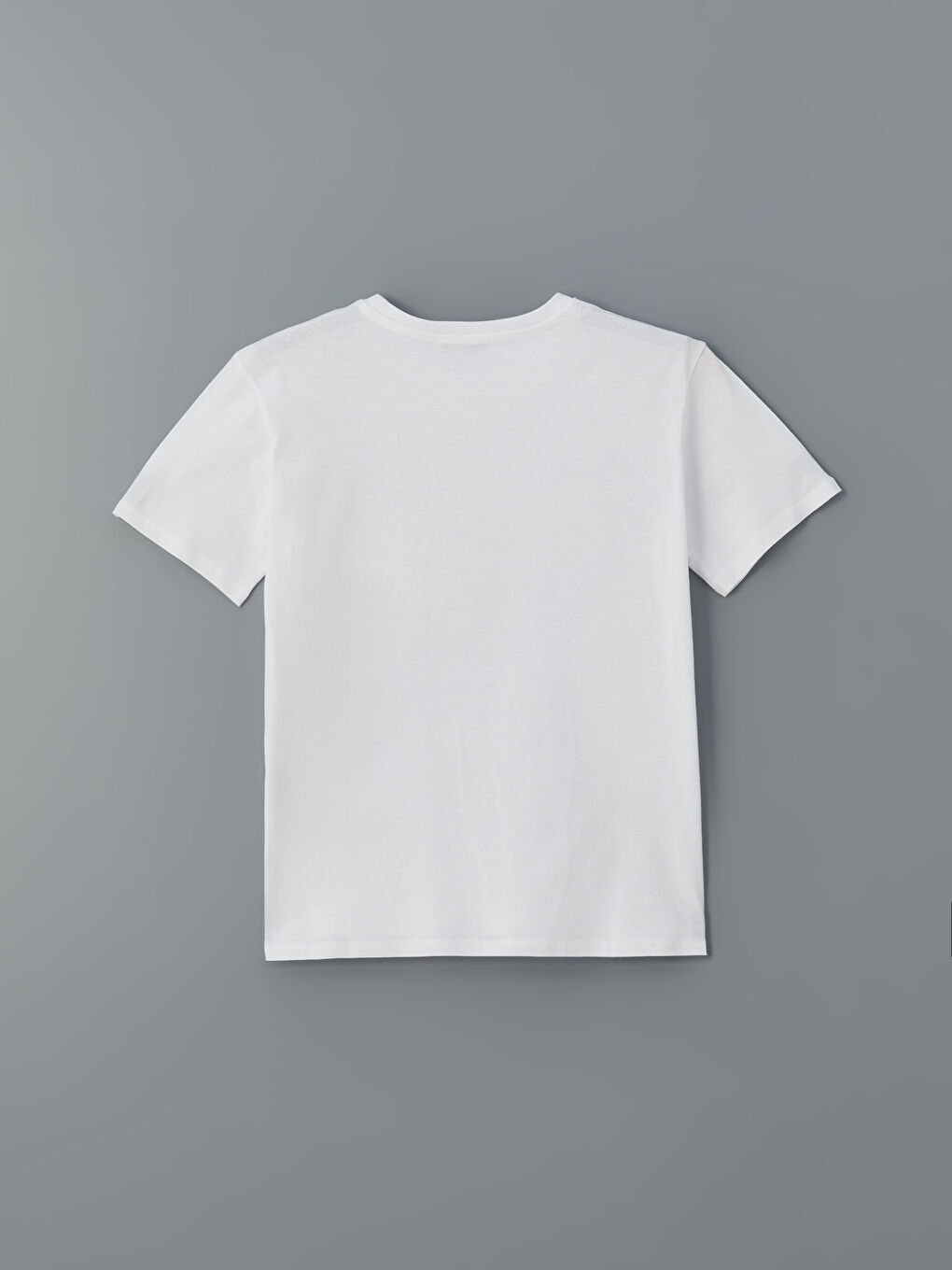 LCW Vision Rundhalsausschnitt Bedrucktes T-Shirt für Damen -S5J525Z8-Q6K