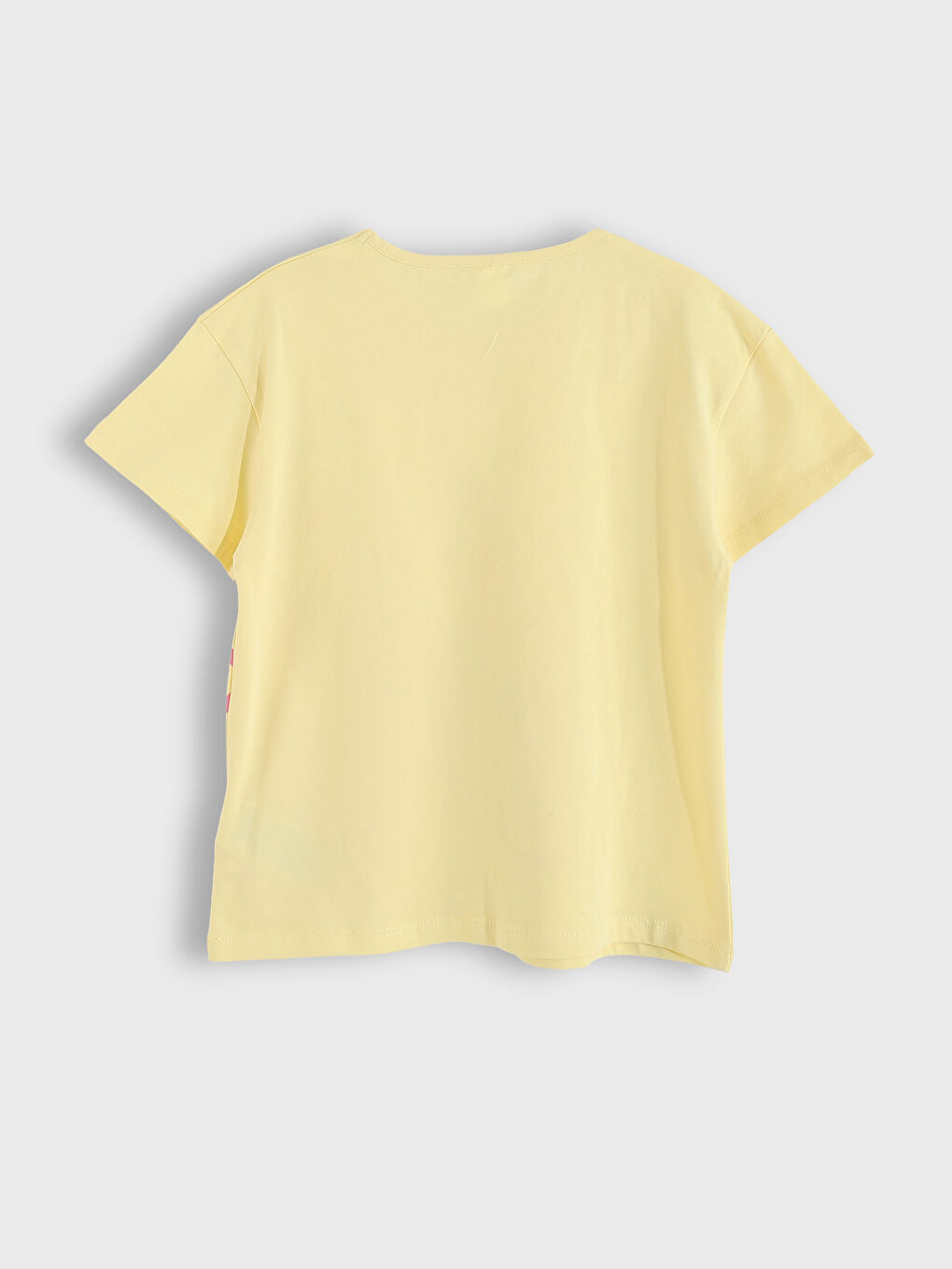 Crew Neck Printed Girls' T-Shirt 2 Pack-4