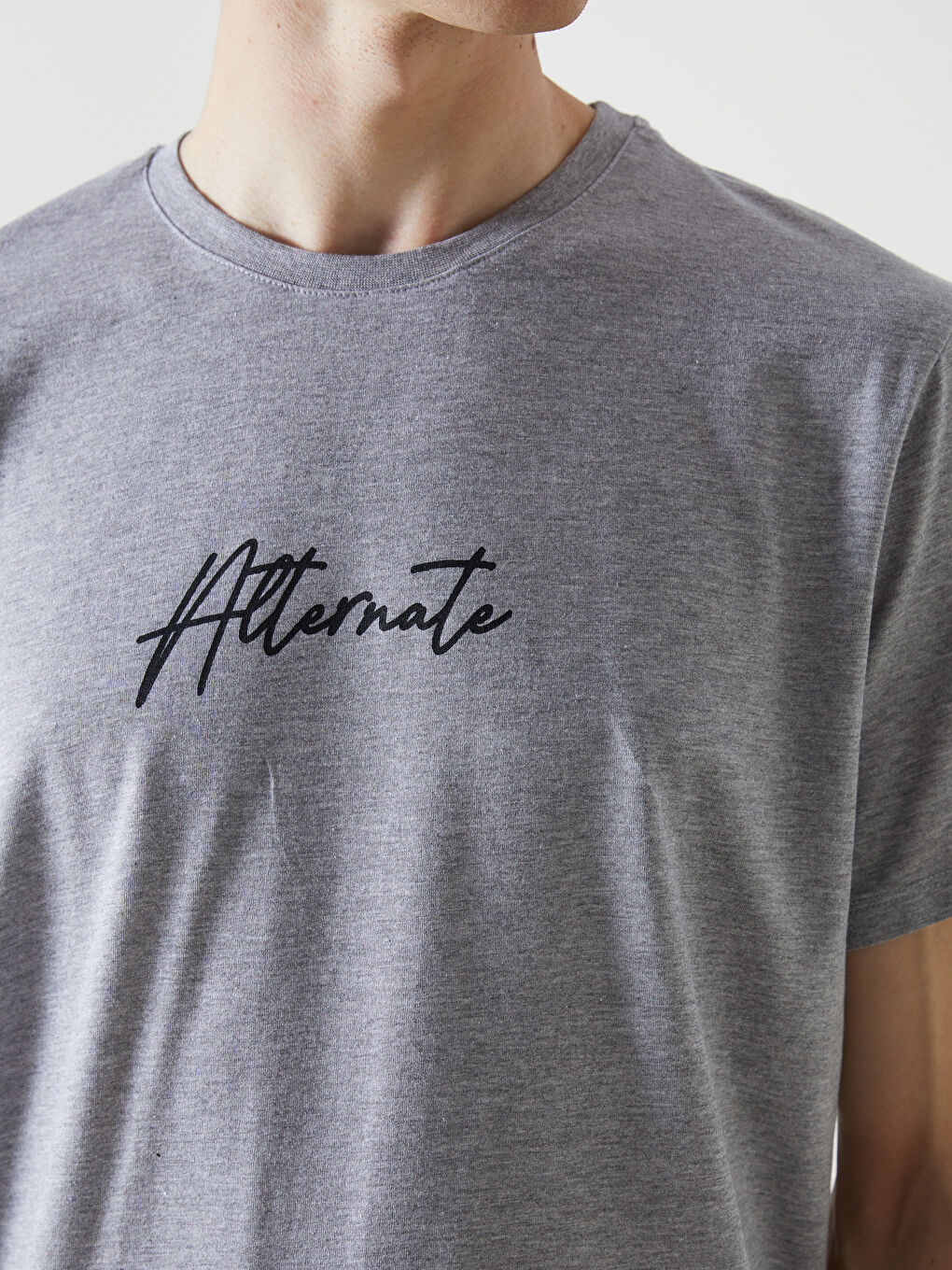 Gri Bisiklet Yaka Kısa Kollu Baskılı Penye Erkek Tişört-2