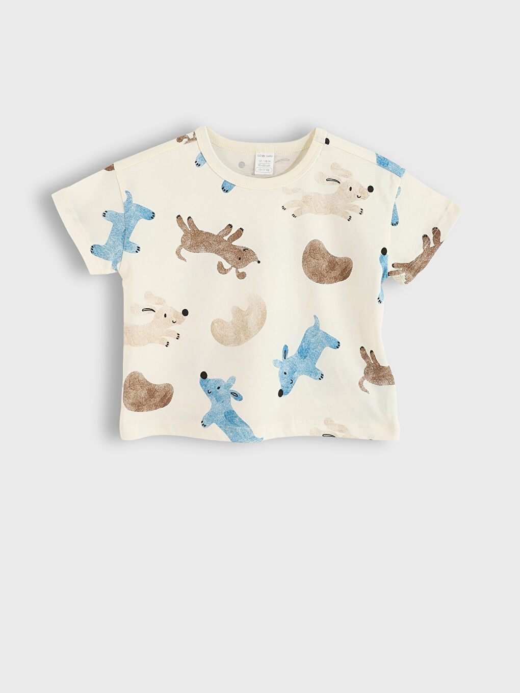 Printed Boys' T-Shirt and Shorts 2 Pack-1