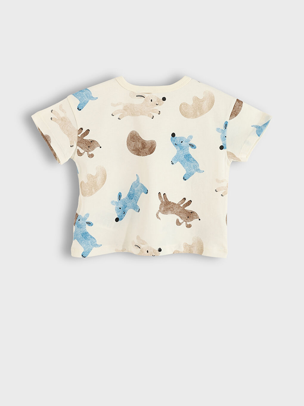 Printed Boys' T-Shirt and Shorts 2 Pack-3