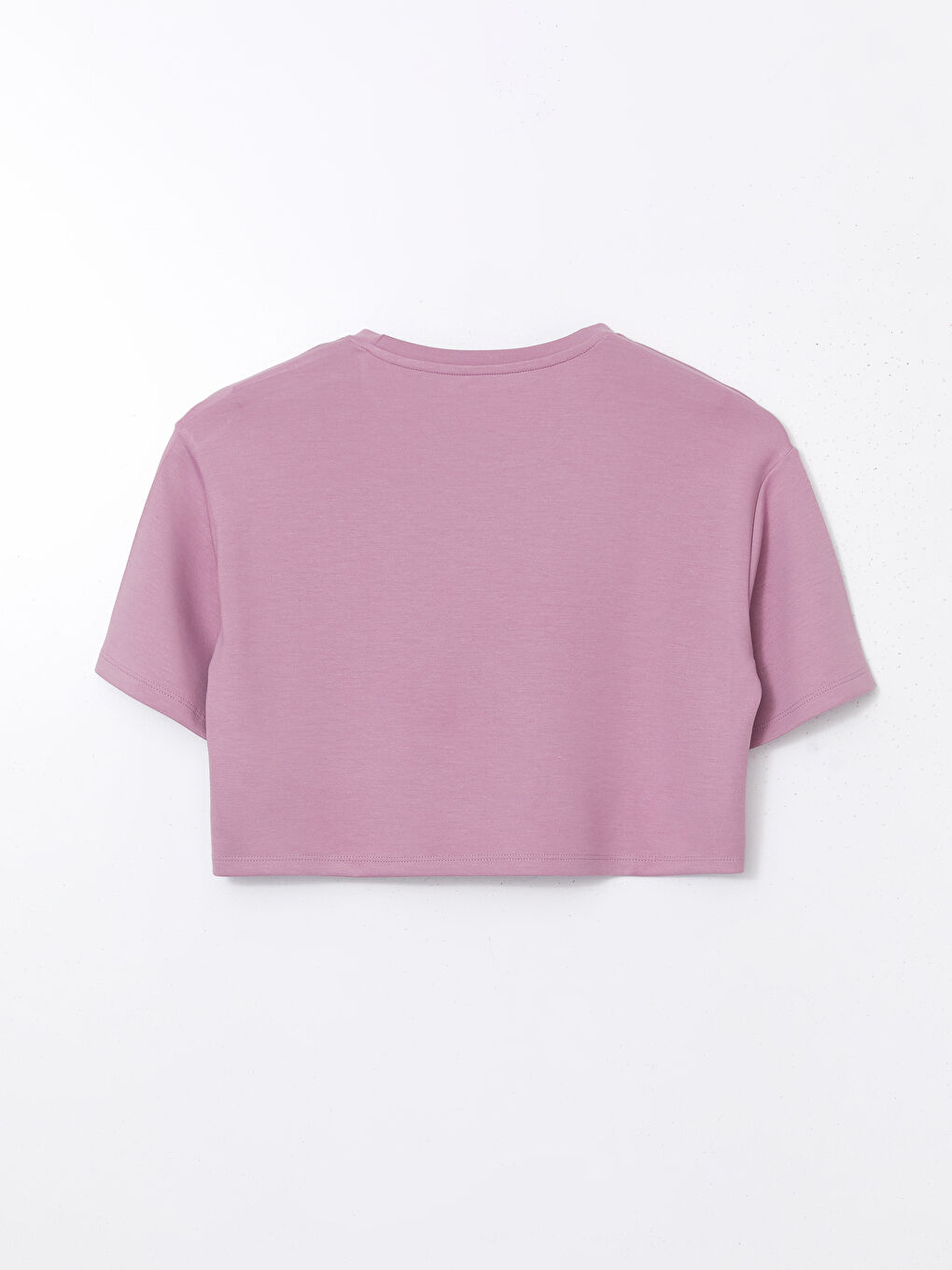 Mor Bisiklet Yaka Crop Kadın Spor Tişört-5