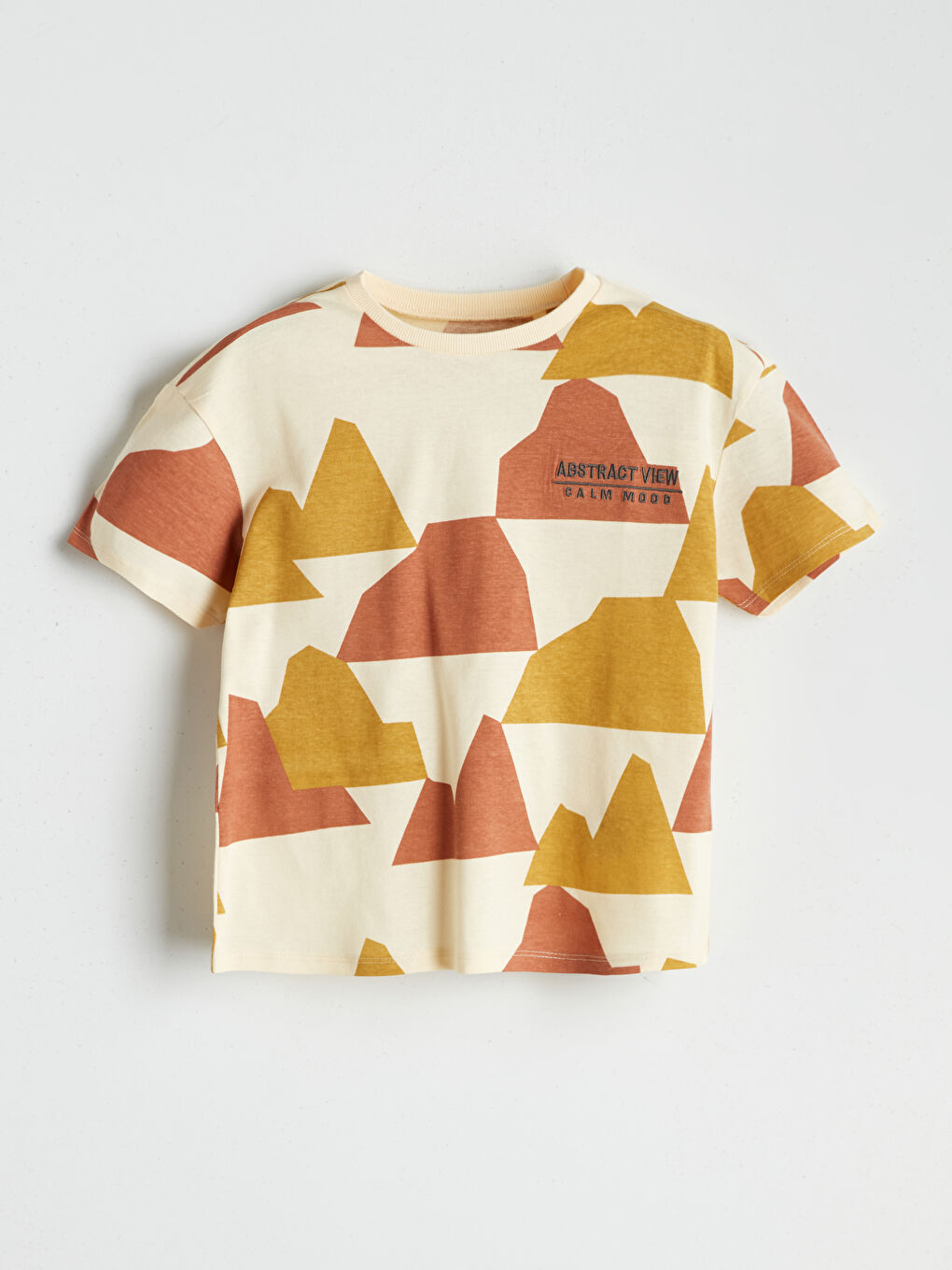 Printed Boys' T-Shirt and Shorts 2 Pack-1