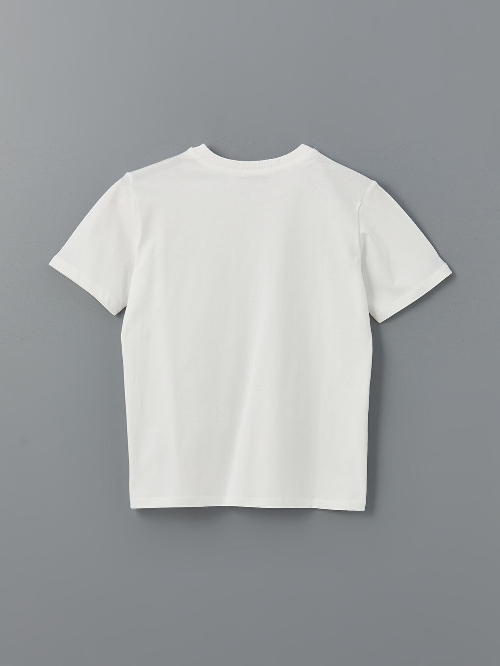 Crew Neck Embroidered Women's T-Shirt -S5KG57Z8-R9J