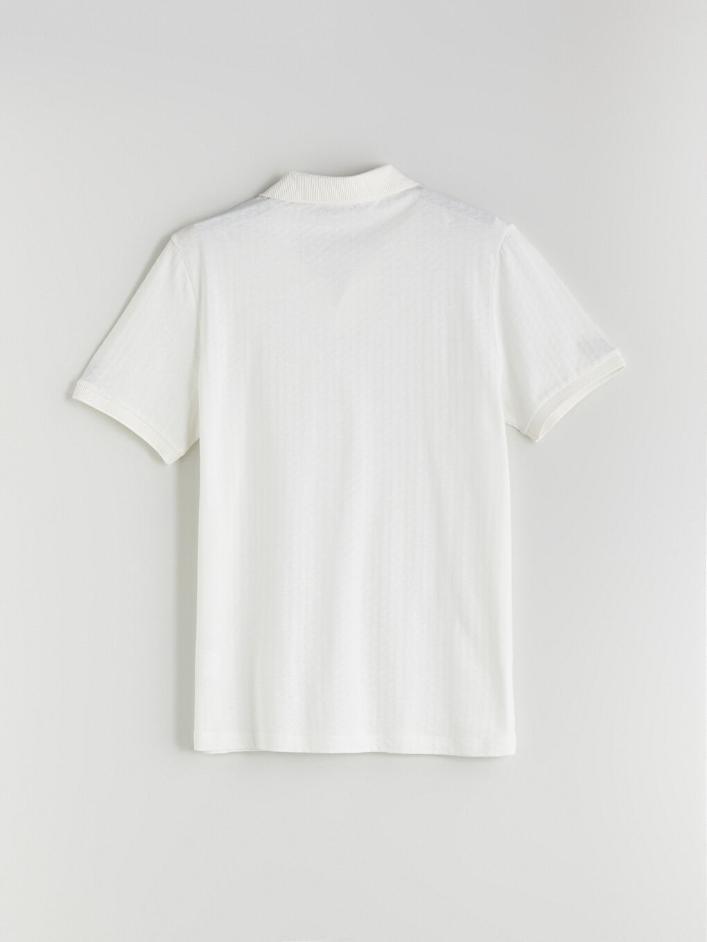 LCWAIKIKI Classic Men's Polo Neck T-Shirt -S5KL82Z8-MJQ