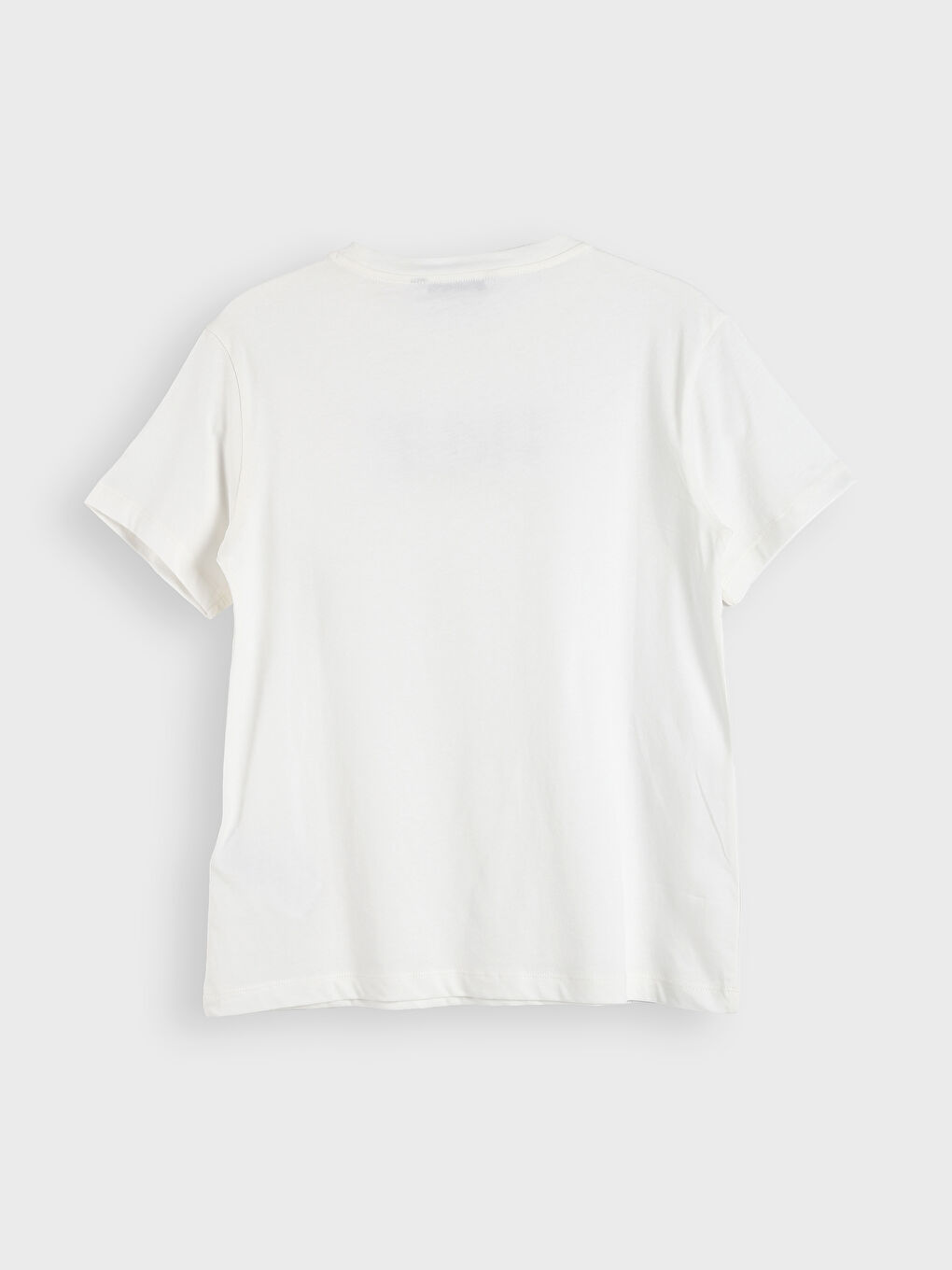 Crew Neck Printed Women's T-Shirt-1