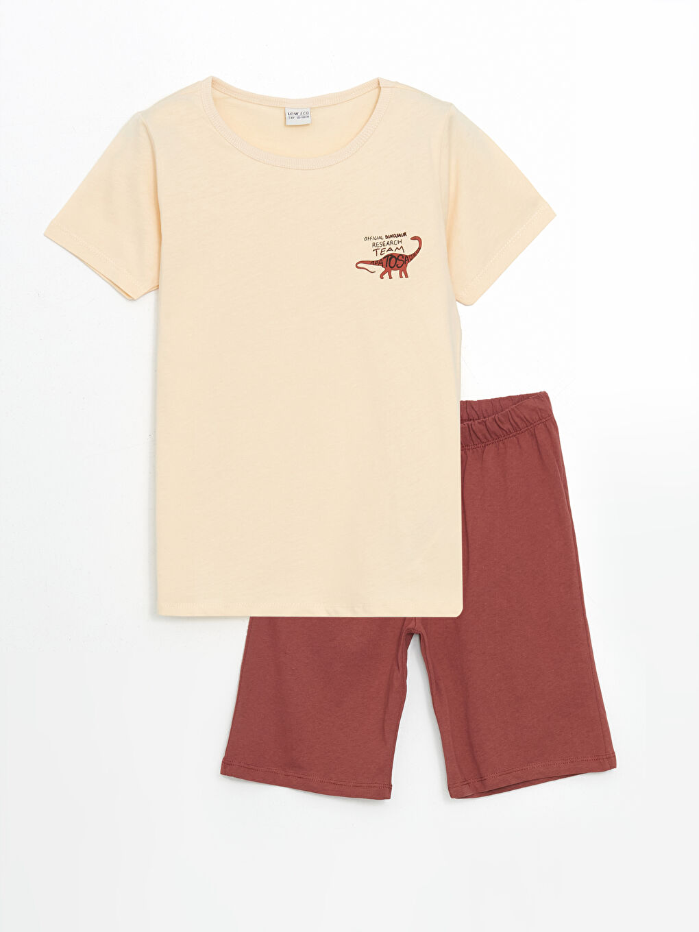 Crew Neck Boy's Pajama Set with Shorts -S5LF48Z4-FDL