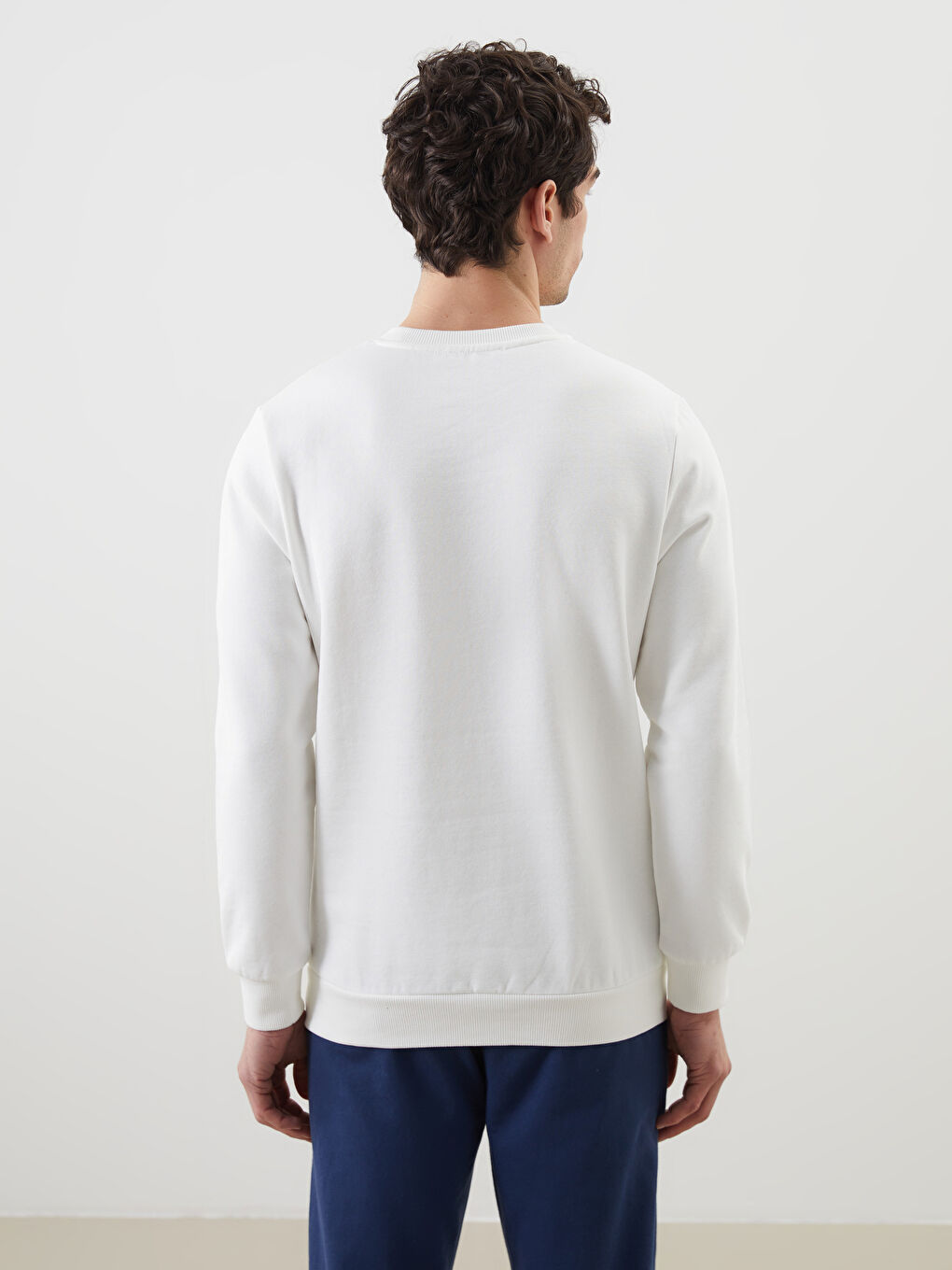 Crew Neck Printed Men's Thick Sweatshirt-7