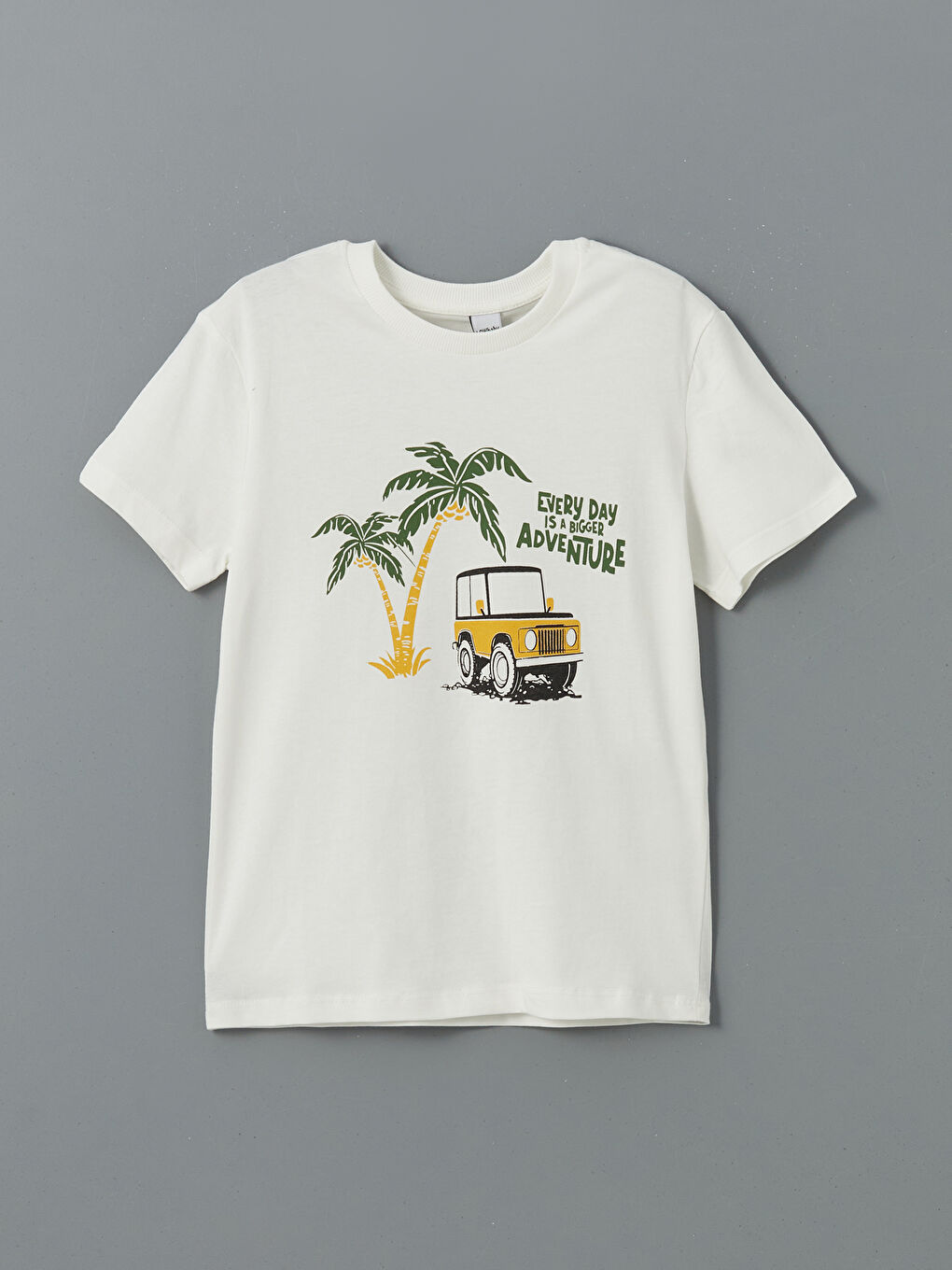 Lot de 2 T-shirts et Shorts Imprimés pour Garçons-1