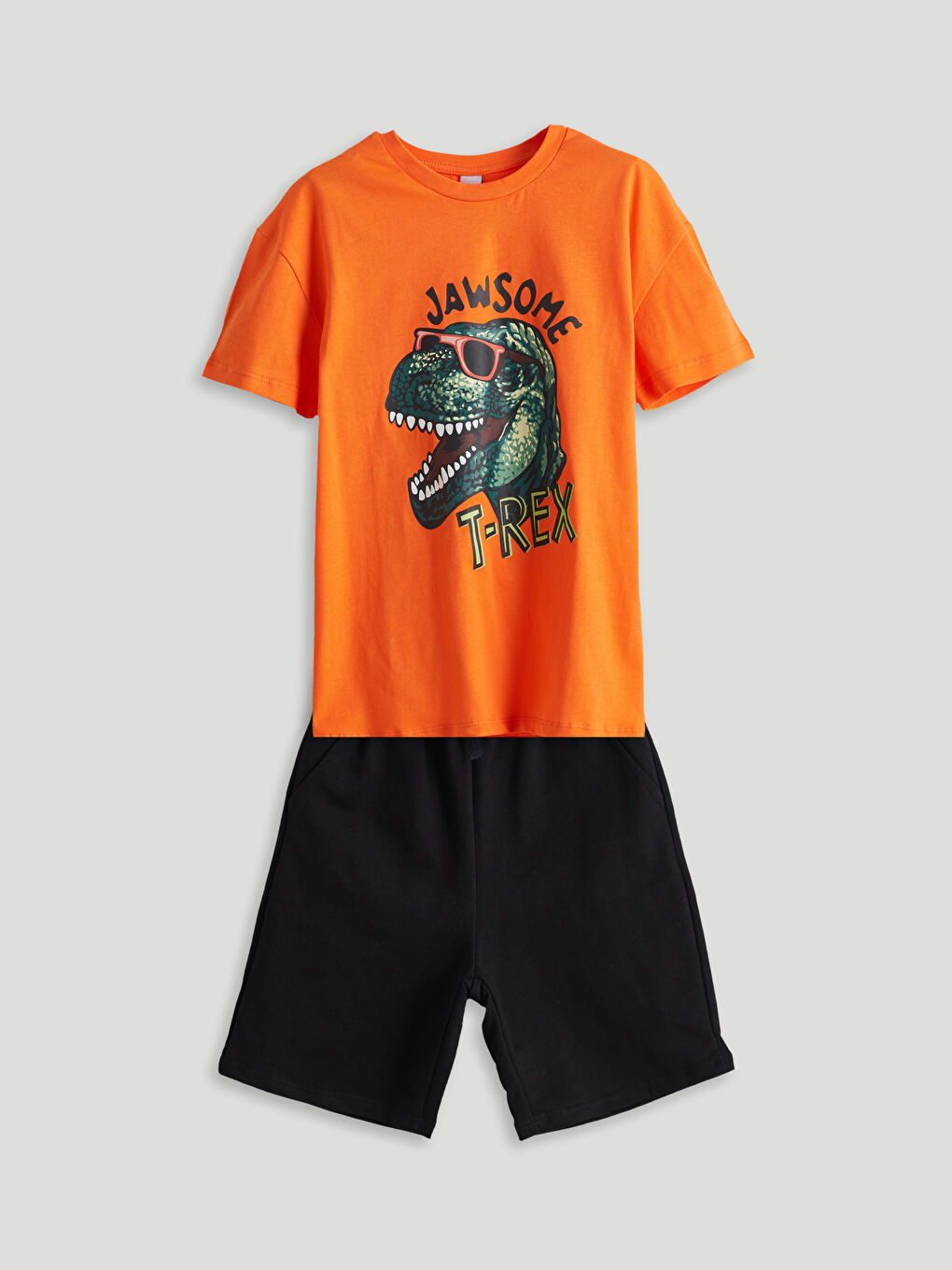 Lot de 2 T-shirts et Shorts Imprimés pour Garçons