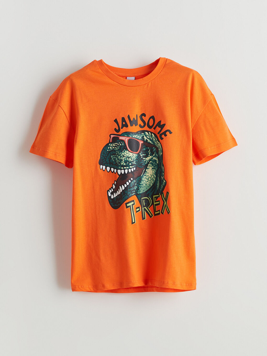 Lot de 2 T-shirts et Shorts Imprimés pour Garçons-1
