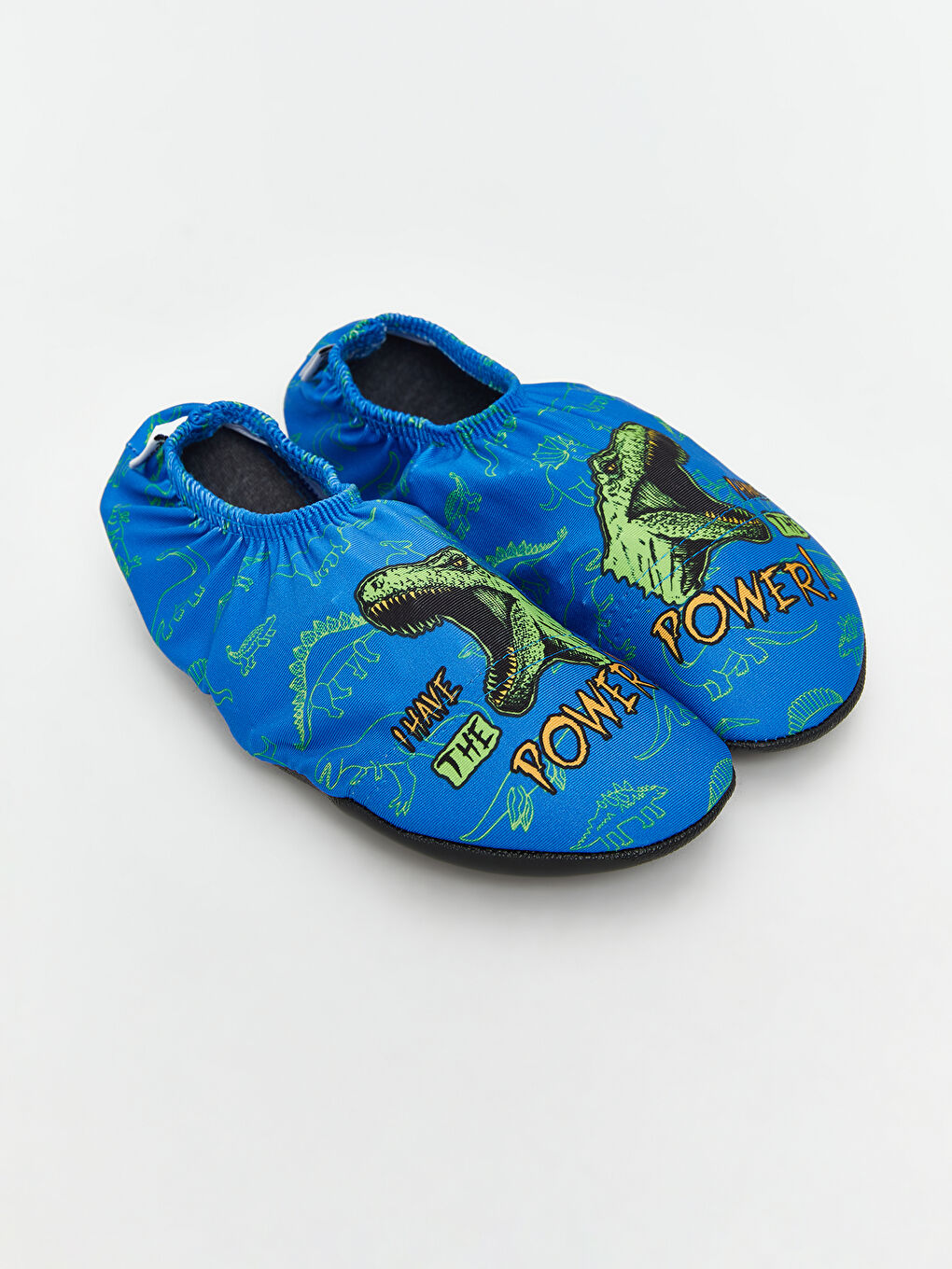 Mavi Dinozor Baskılı Erkek Çocuk Deniz Ayakkabısı