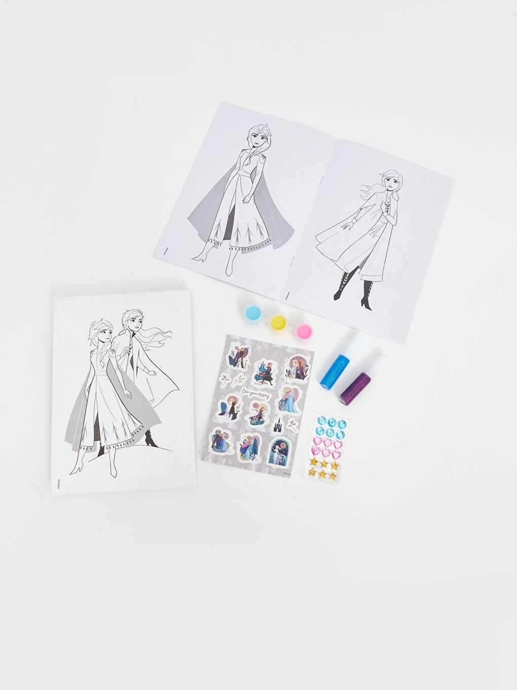 Frozen Baskılı Boyama Seti-1