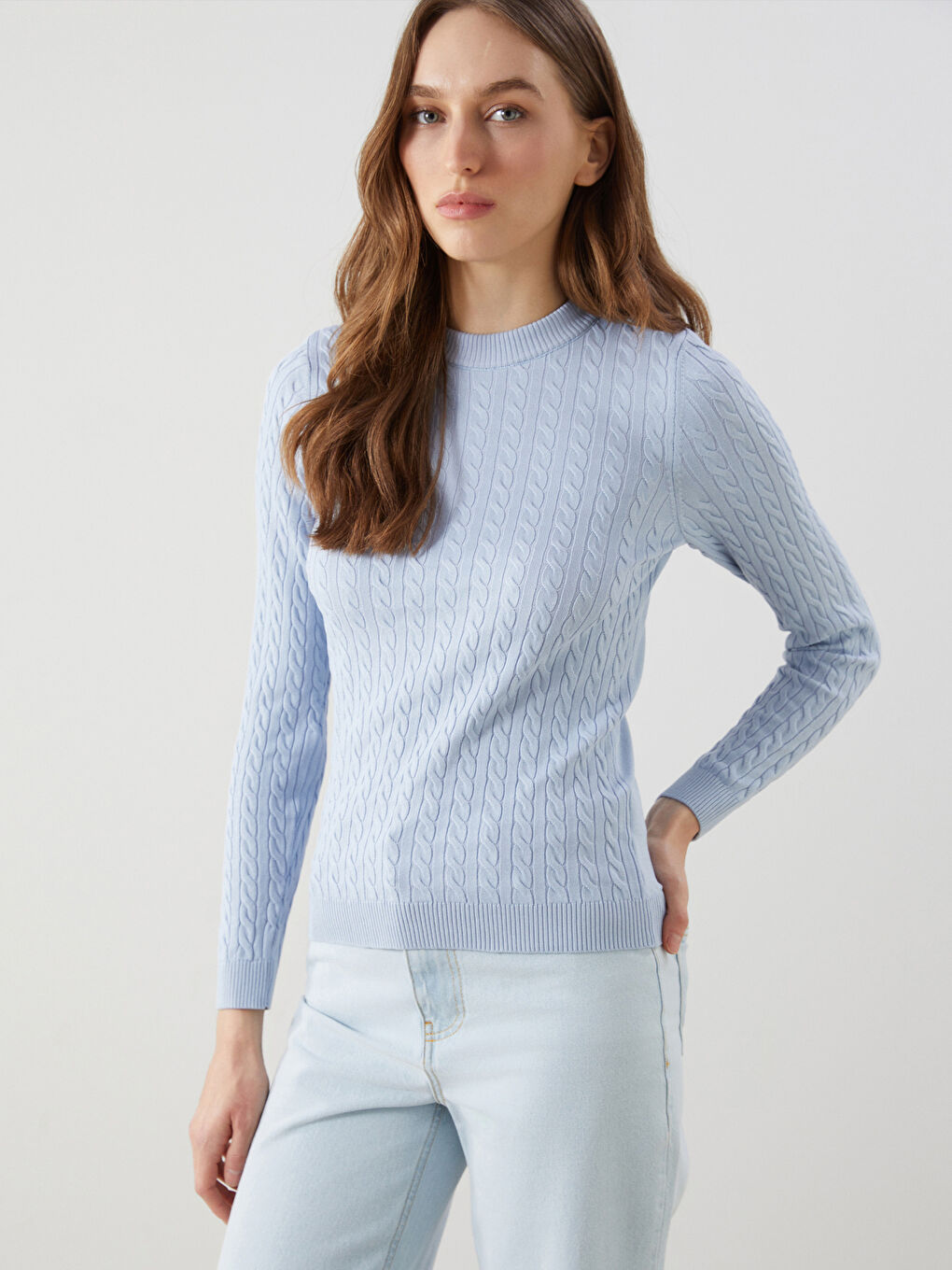 Crew Neck Self-Patterned Women's Knitwear Sweater -S5MA37Z8-E3U