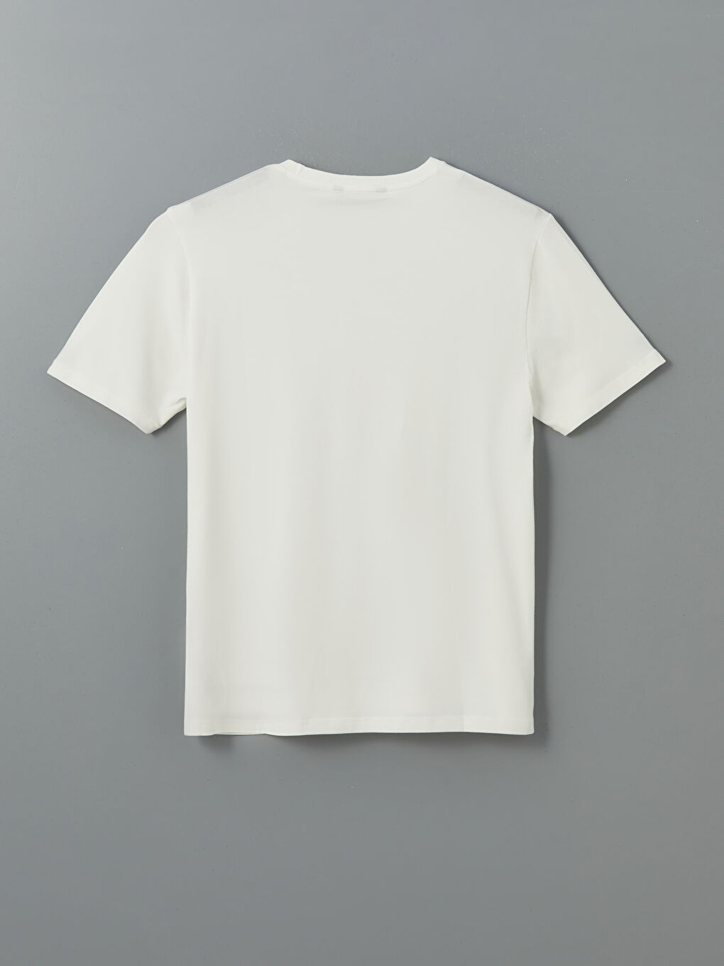 Crew Neck Short Sleeve Printed Combed Cotton Men's T-shirt -S5MJ98Z8-R9J