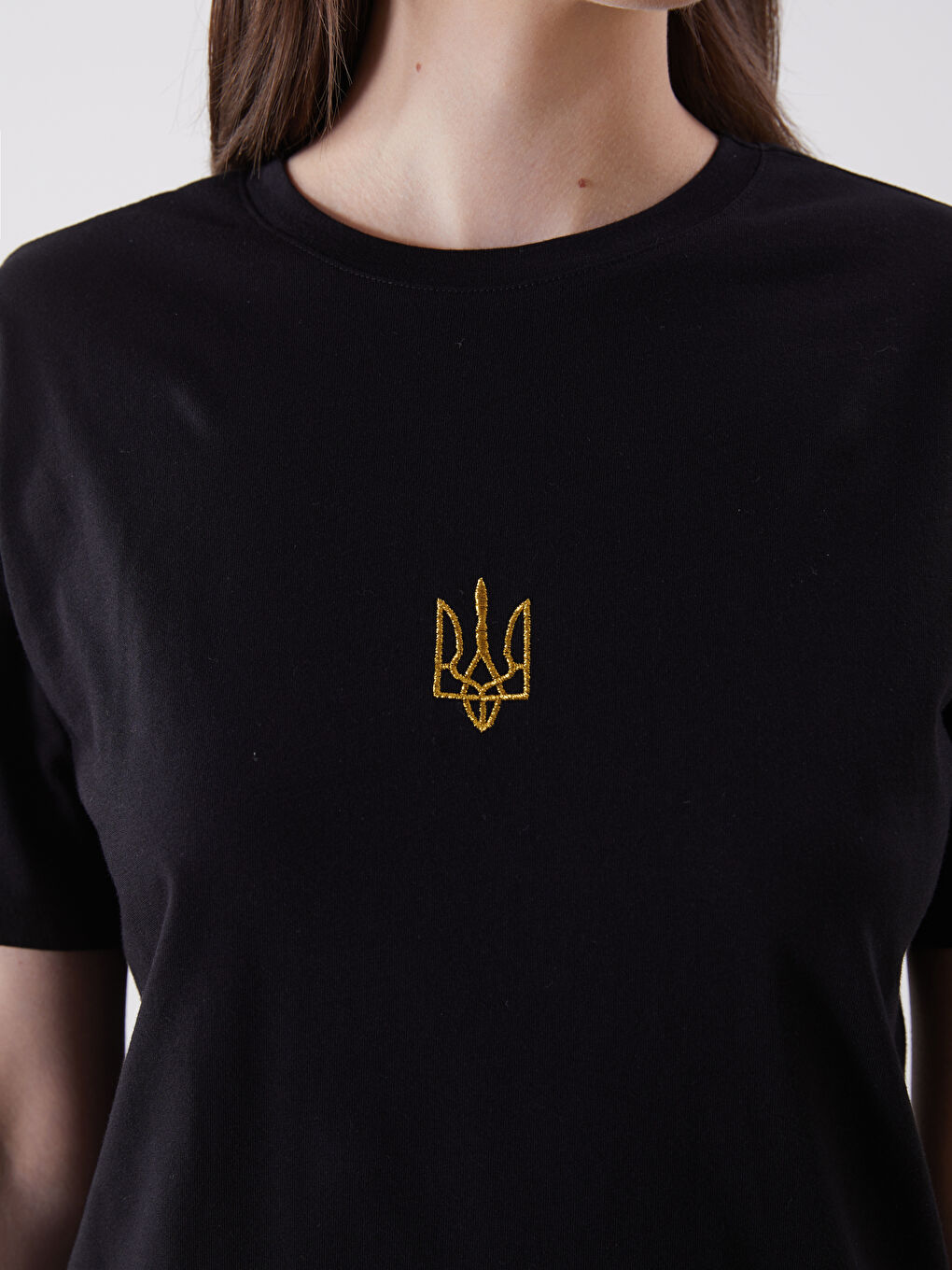 LCW Vision Crew Neck Embroidered Women's T-Shirt -S5MO97Z8-CVL