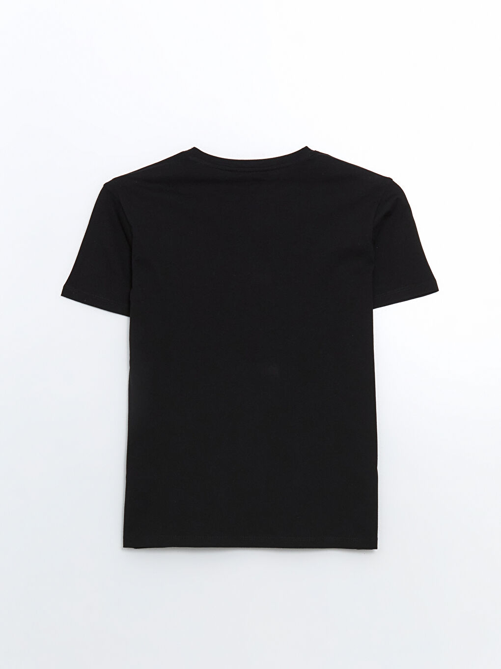 LCW Vision Crew Neck Embroidered Women's T-Shirt -S5MO97Z8-CVL