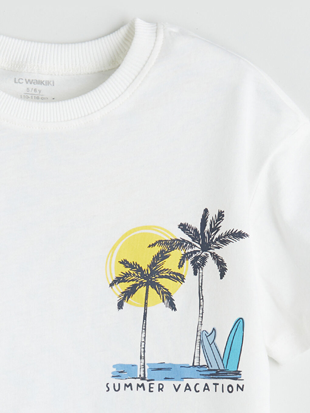 Crew Neck Printed Boys' T-Shirt-2