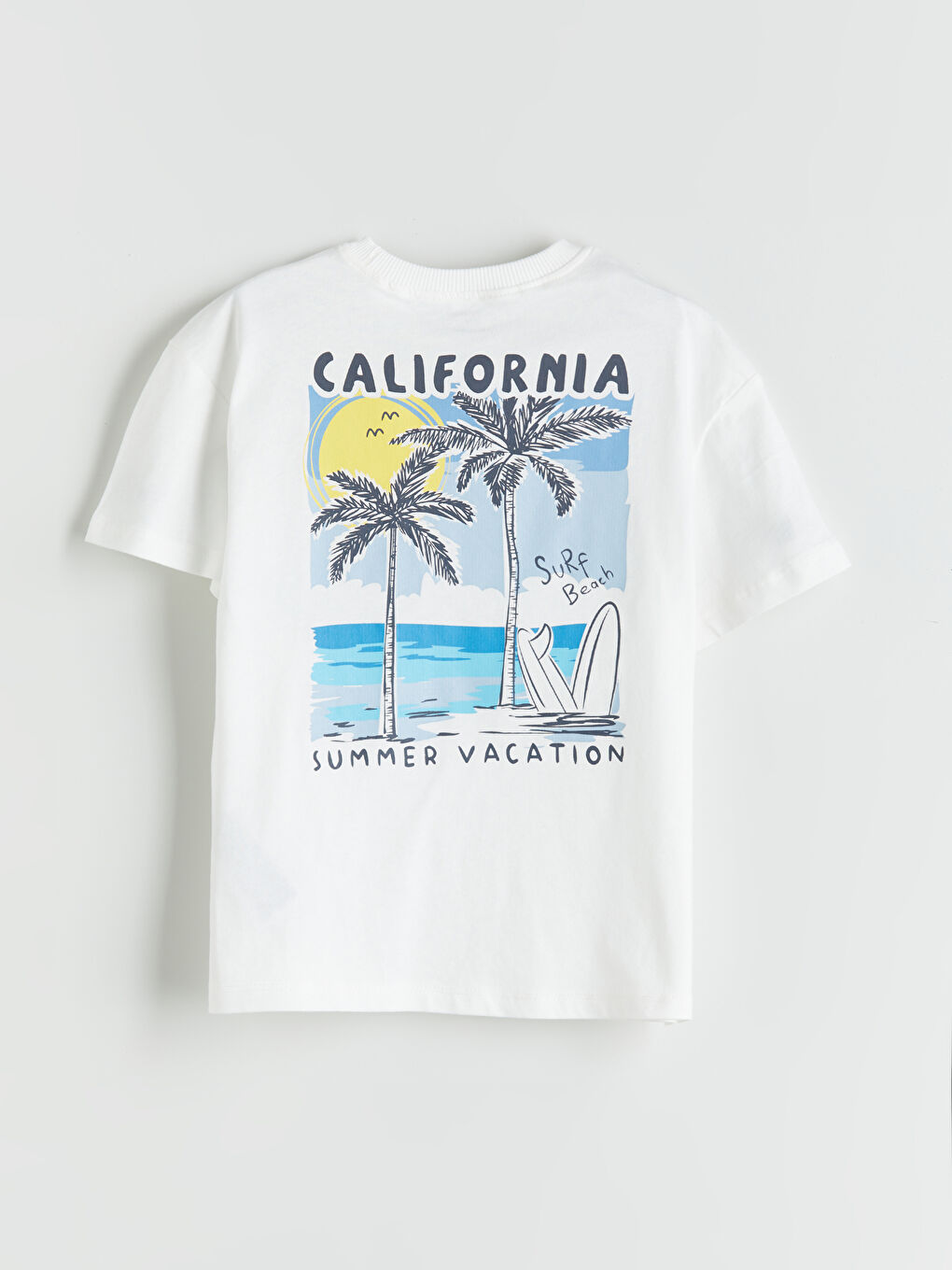 Crew Neck Printed Boys' T-Shirt-3