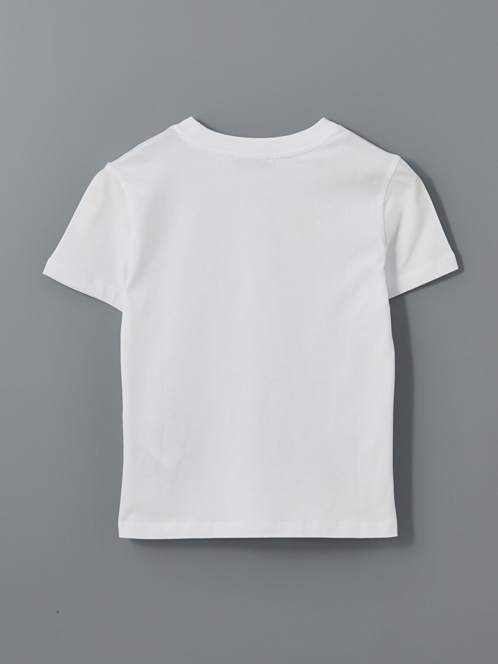 Crew Neck Embroidered Women's T-Shirt -S5N446Z8-Q6K