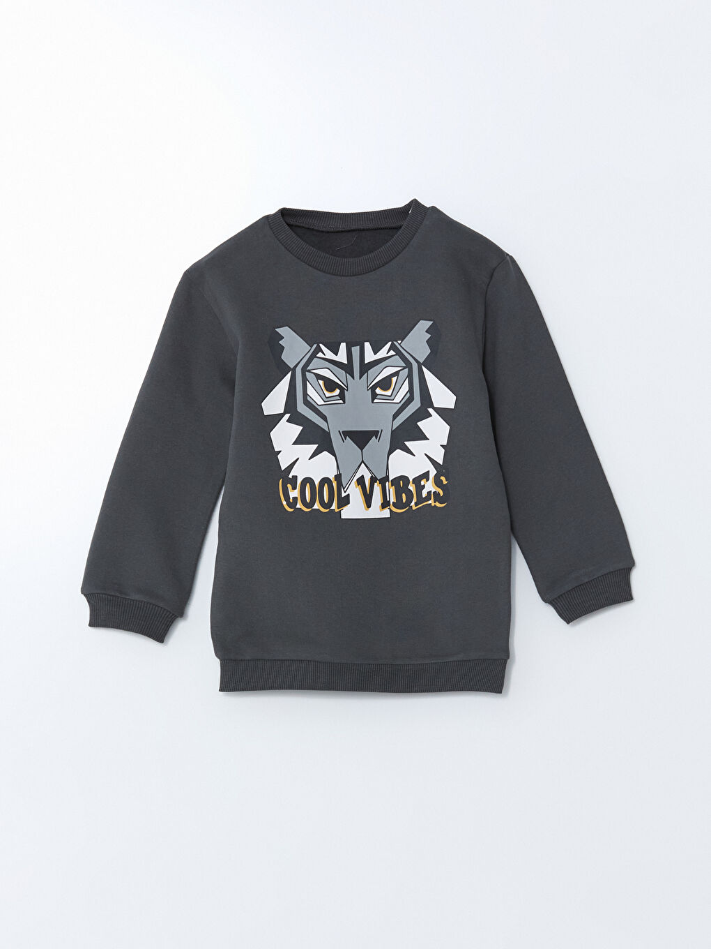 Crew Neck Printed Boy'S Thick Sweatshirt -S5N620Z1-R4W