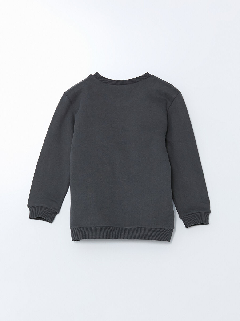 Crew Neck Printed Boy'S Thick Sweatshirt -S5N620Z1-R4W