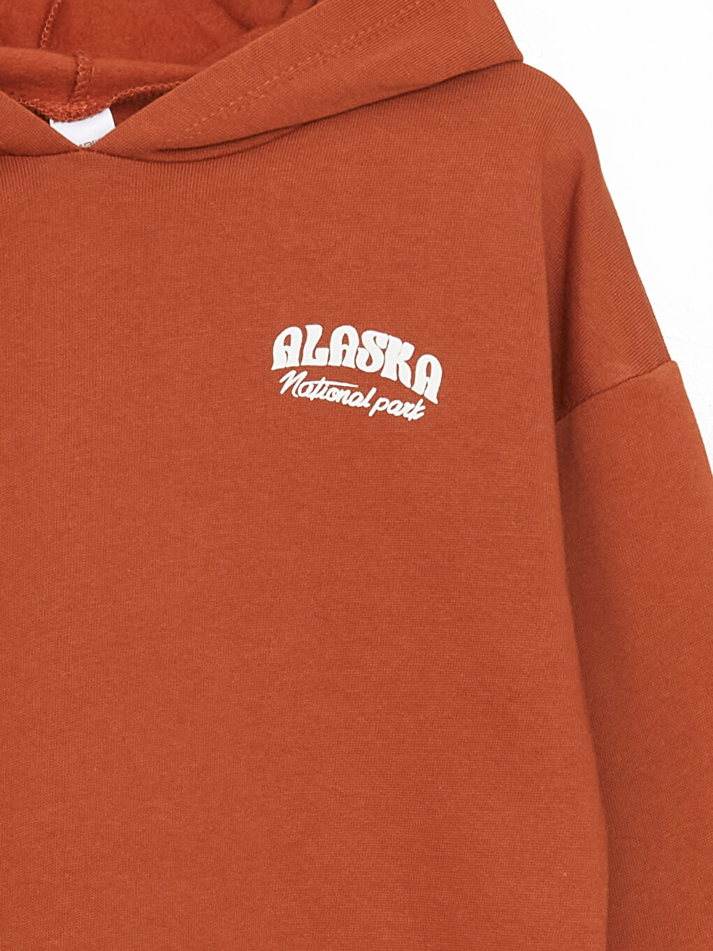 Turuncu Kapüşonlu Erkek Çocuk Kalın Sweatshirt-1