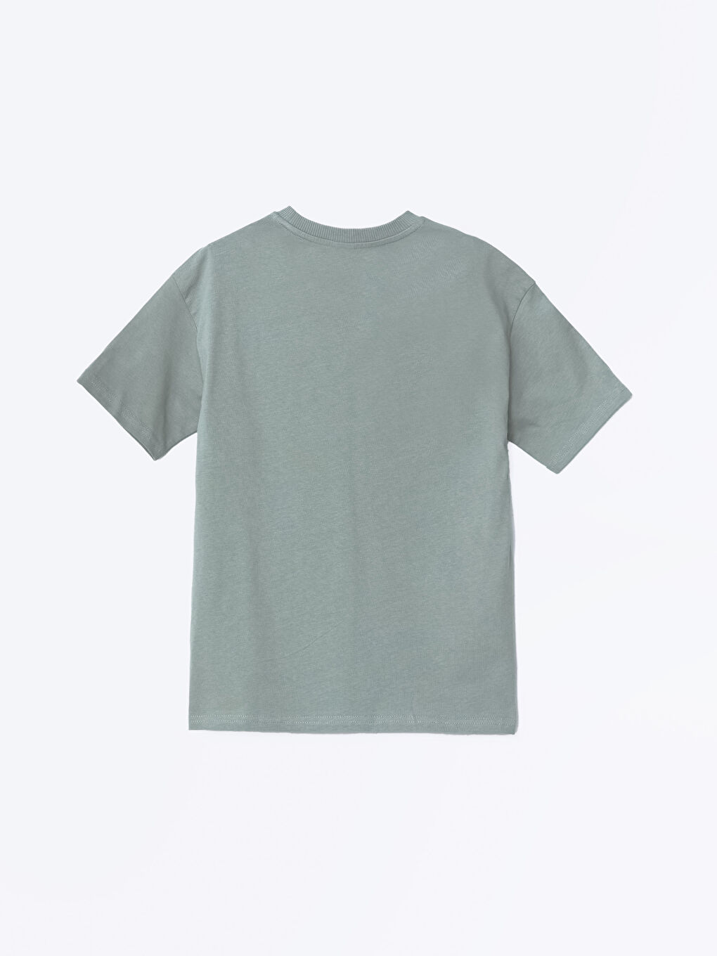 LCW Kids Crew Neck Basic Boys' T-Shirt -S5NL74Z4-VE2