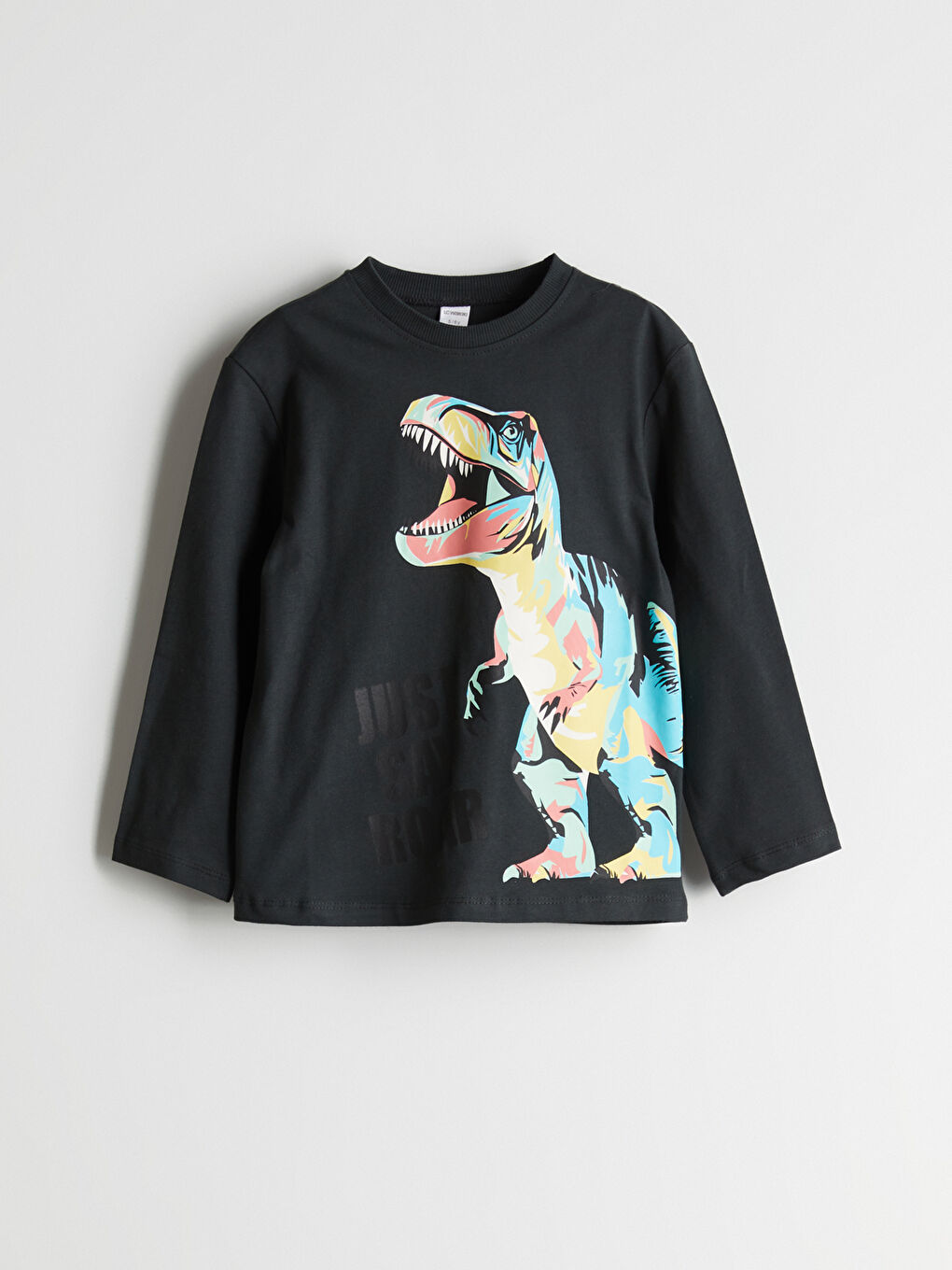 Antrasit Bisiklet Yaka Dinozor Baskılı Erkek Çocuk Tişört