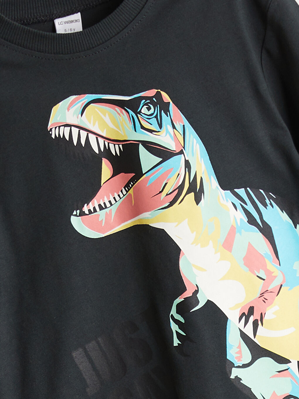 Antrasit Bisiklet Yaka Dinozor Baskılı Erkek Çocuk Tişört-1