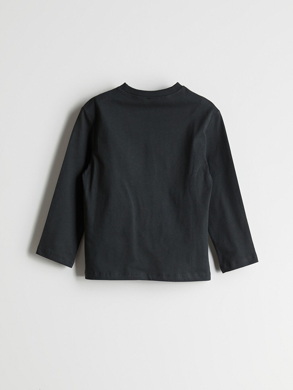 Antrasit Bisiklet Yaka Dinozor Baskılı Erkek Çocuk Tişört-2