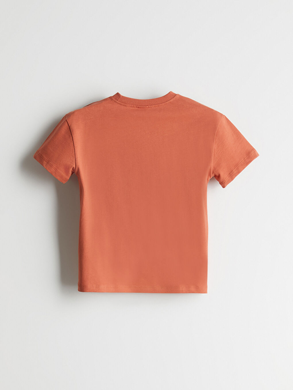 LCW Kids Kahverengi Bisiklet Yaka Basic Erkek Çocuk Tişört - 2