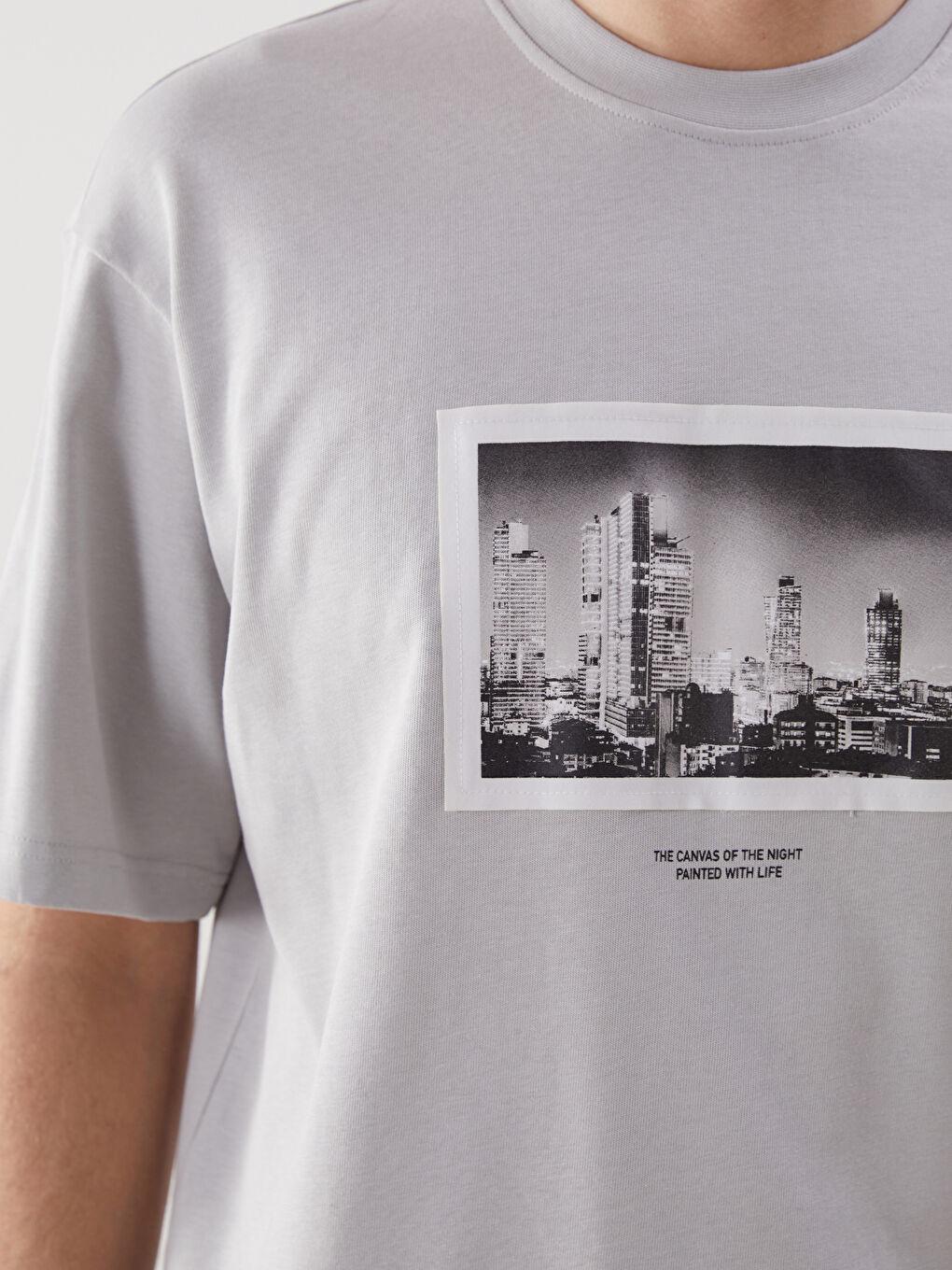 Gri Bisiklet Yaka Baskılı Penye Erkek Tişört-2