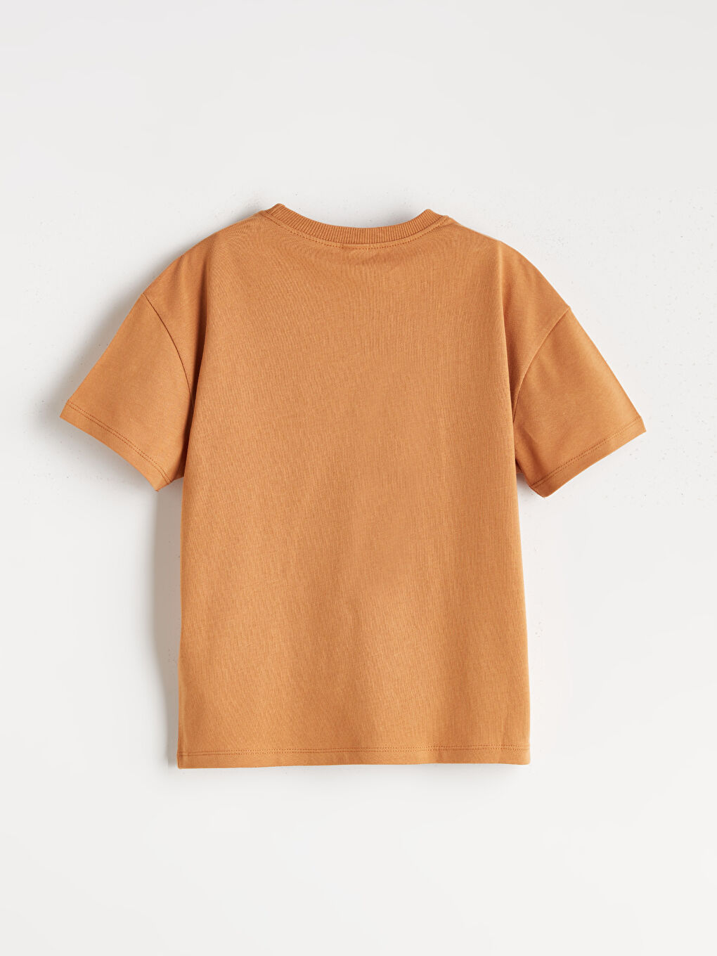 Crew Neck Basic Boy T-Shirt -S5P242Z1-GUB